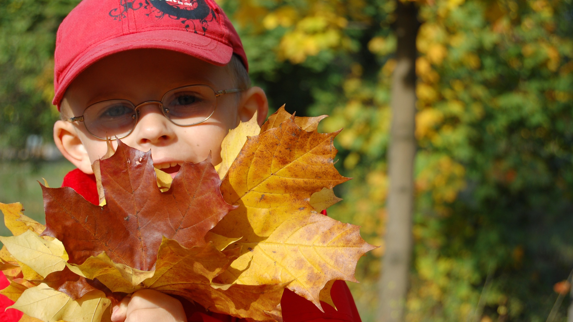 Мальчик в красной кепке с листьями в руках 