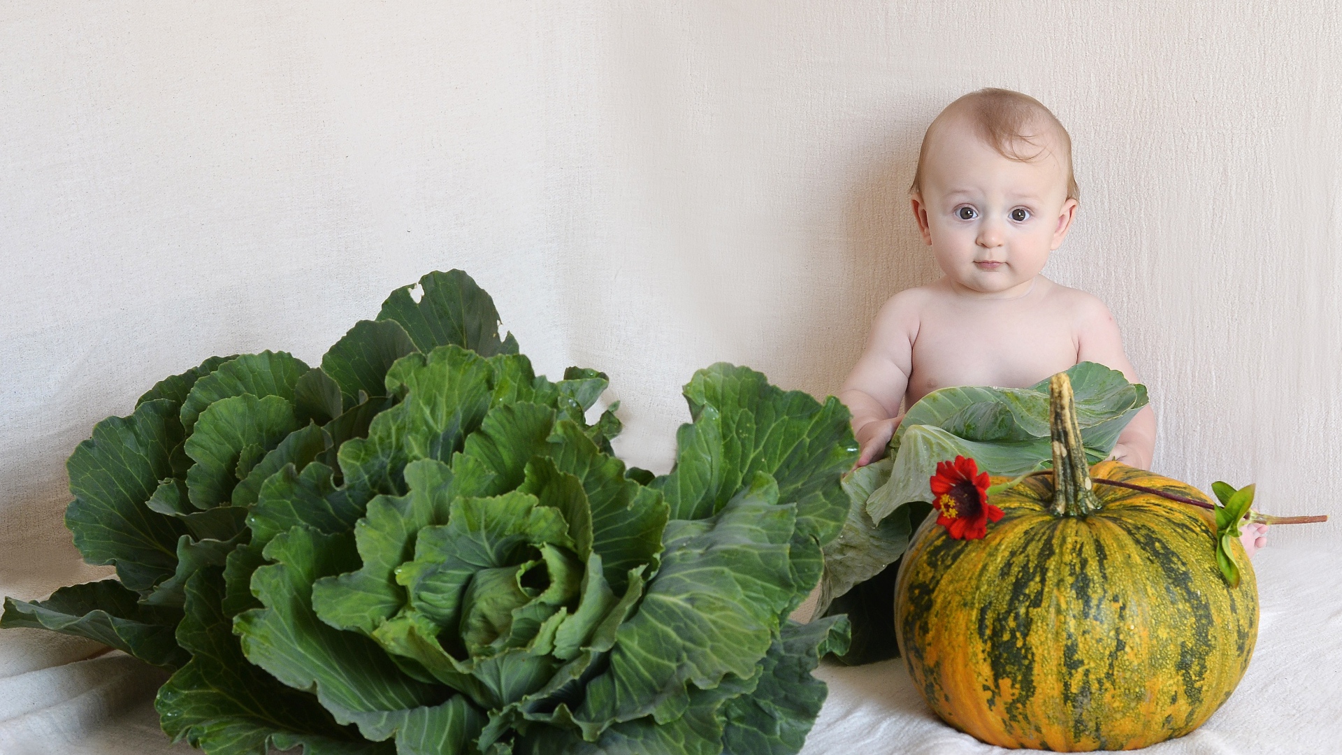 Маленький ребенок с  тыквой и капустой у стены