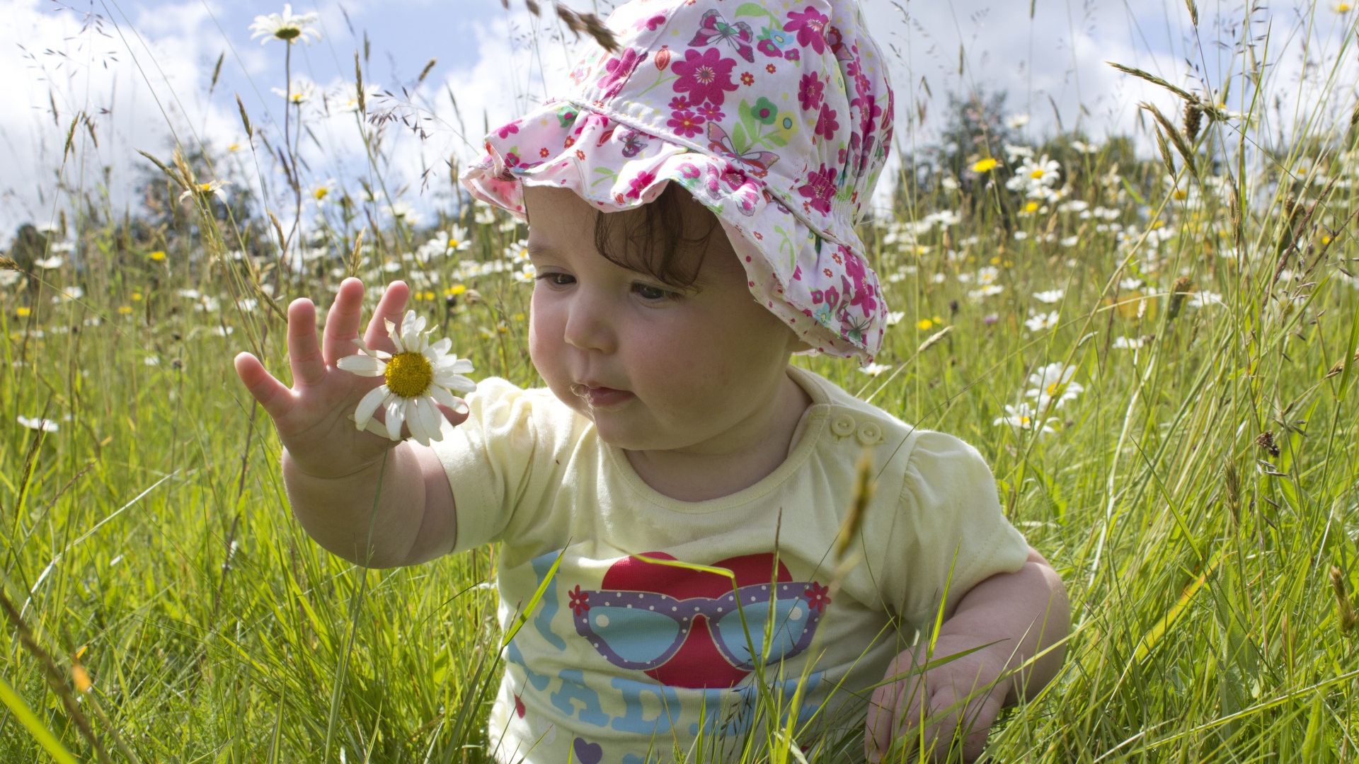 Маленький ребенок в панамке с ромашкой в руке