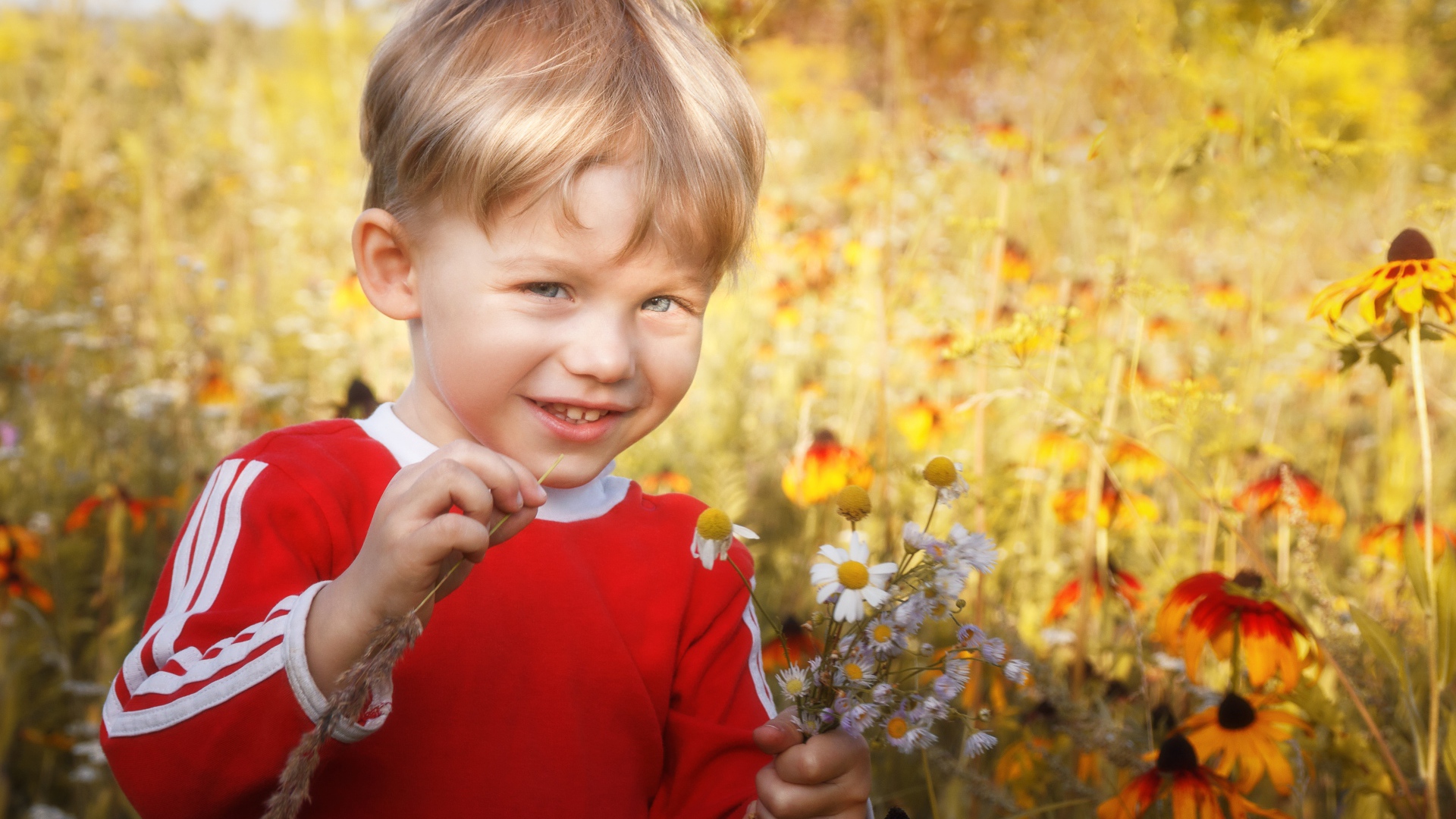 Улыбающийся голубоглазый мальчик с полевыми цветами 