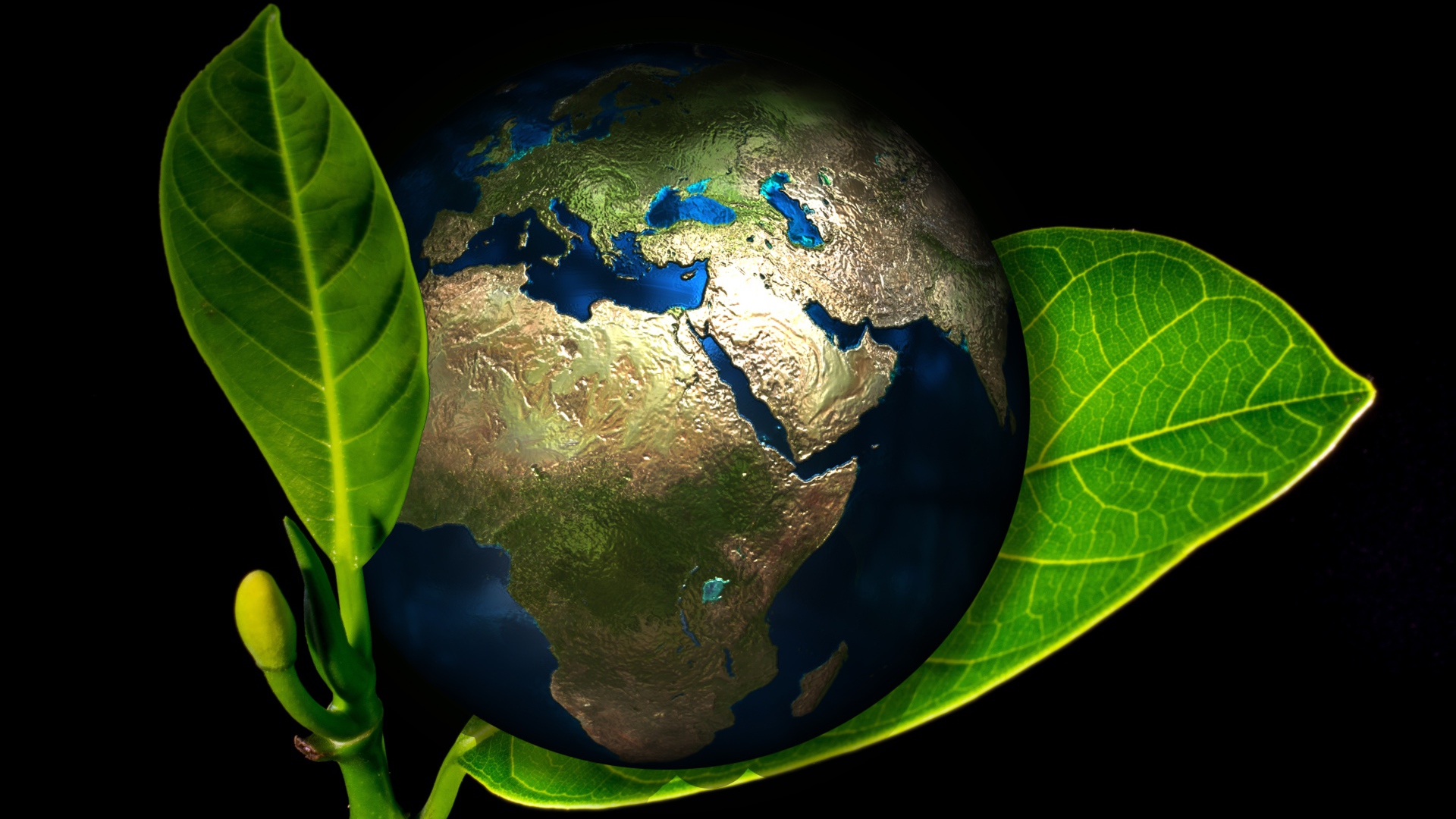 Планета Земля лежит на зеленом листе