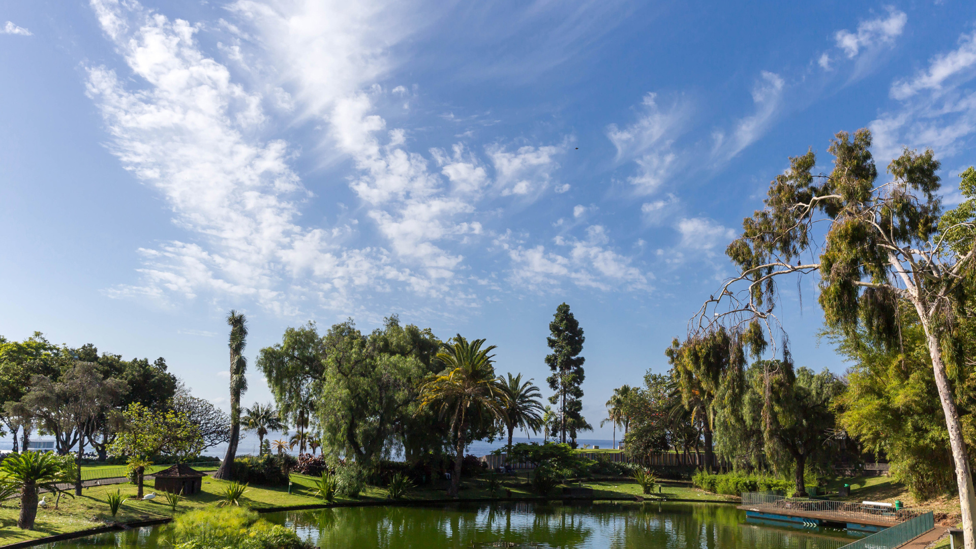 Красивое голубое небо над парком, Португалия