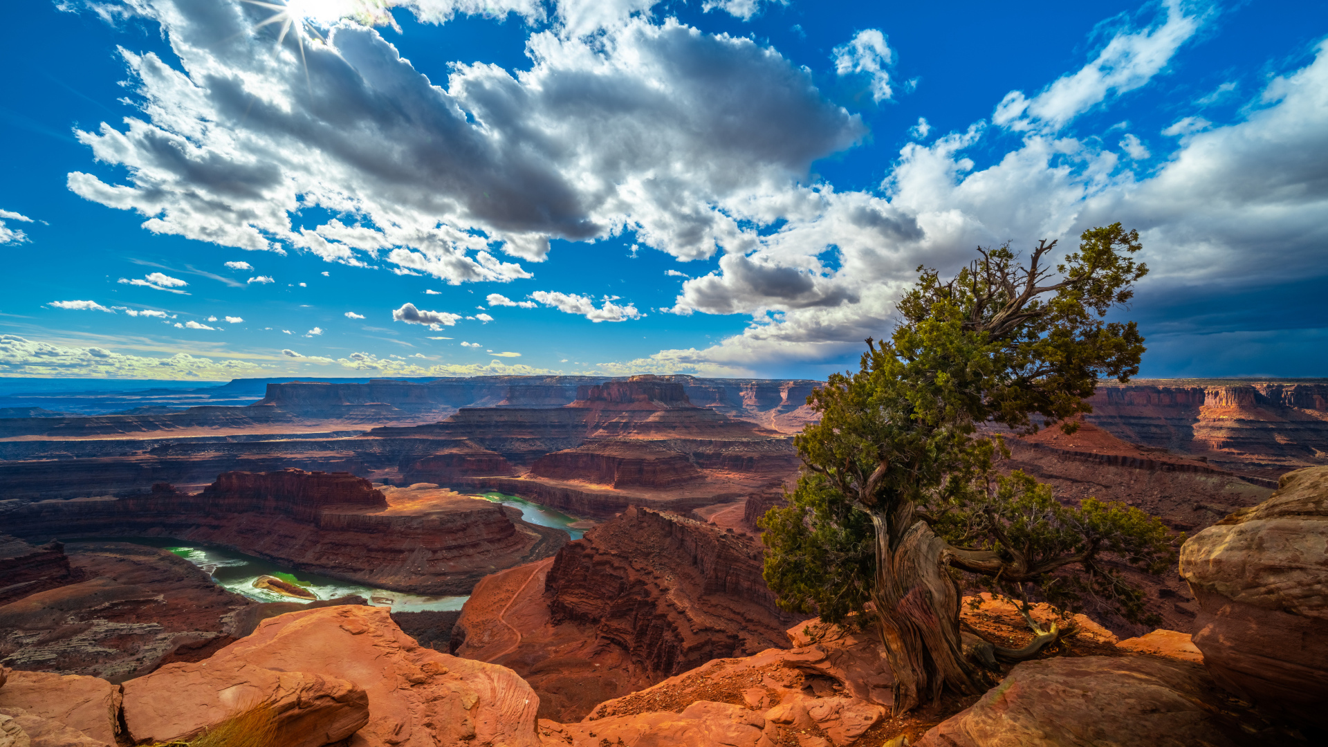 Beautiful view of the canyon under the blue sky, USA