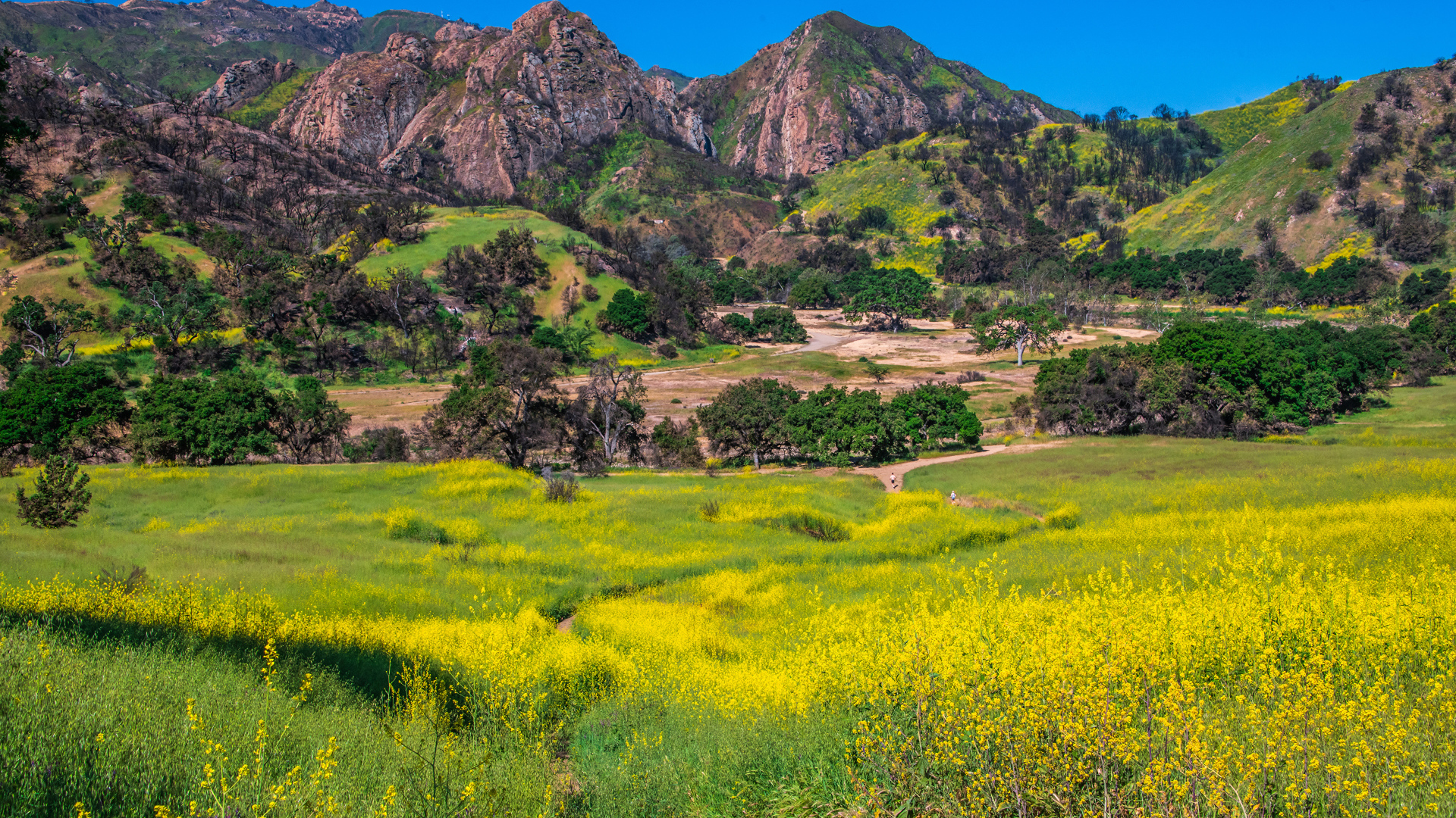 Большие горы под голубым небом, США