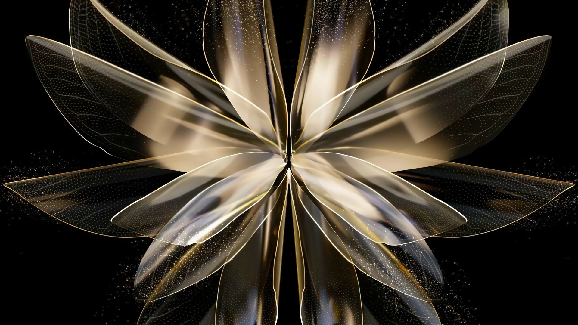 Красивый абстрактный цветок на черном фоне