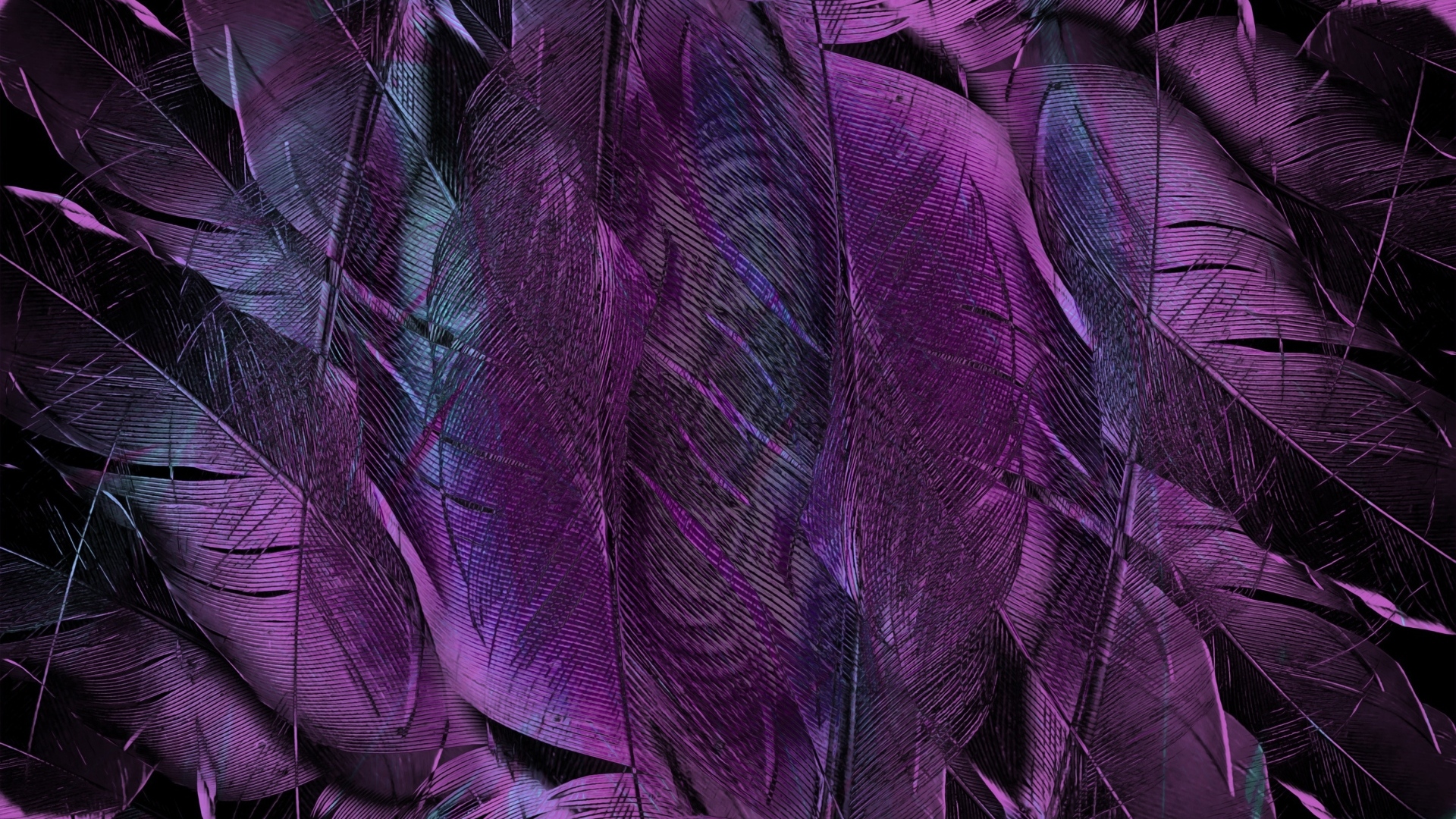 Фиолетовые перья птицы крупным планом