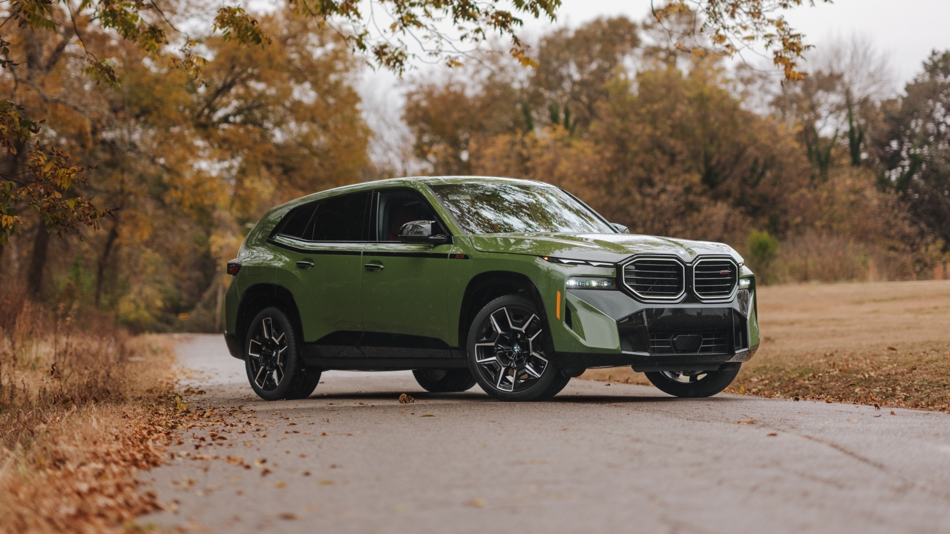 Зеленый внедорожник BMW XM Label 2024 года