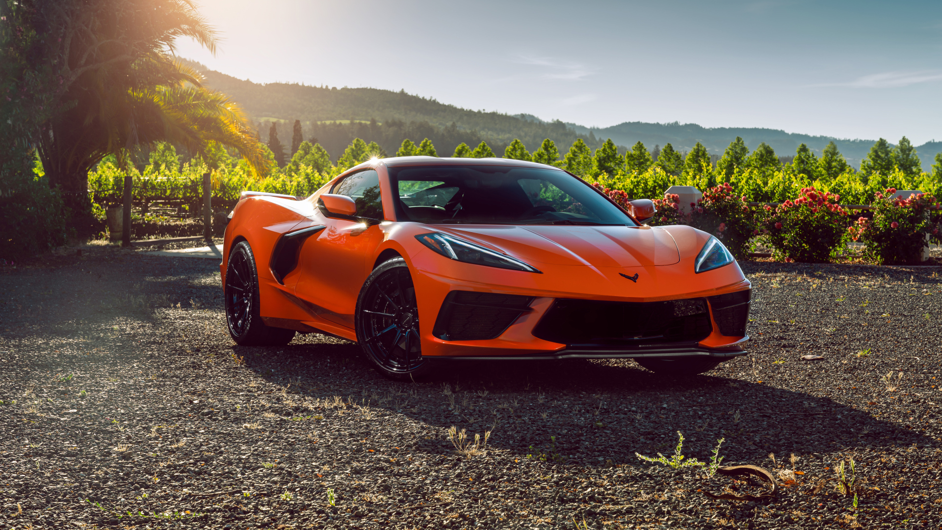 Быстрый гоночный автомобиль Chevrolet Corvette C8 в лучах солнца