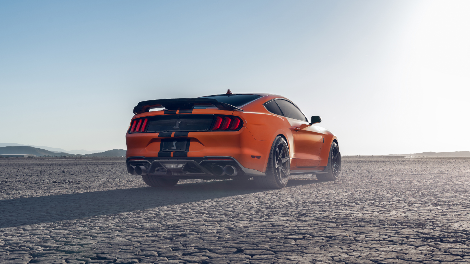 Быстрый Ford Shelby GT500 вид сзади