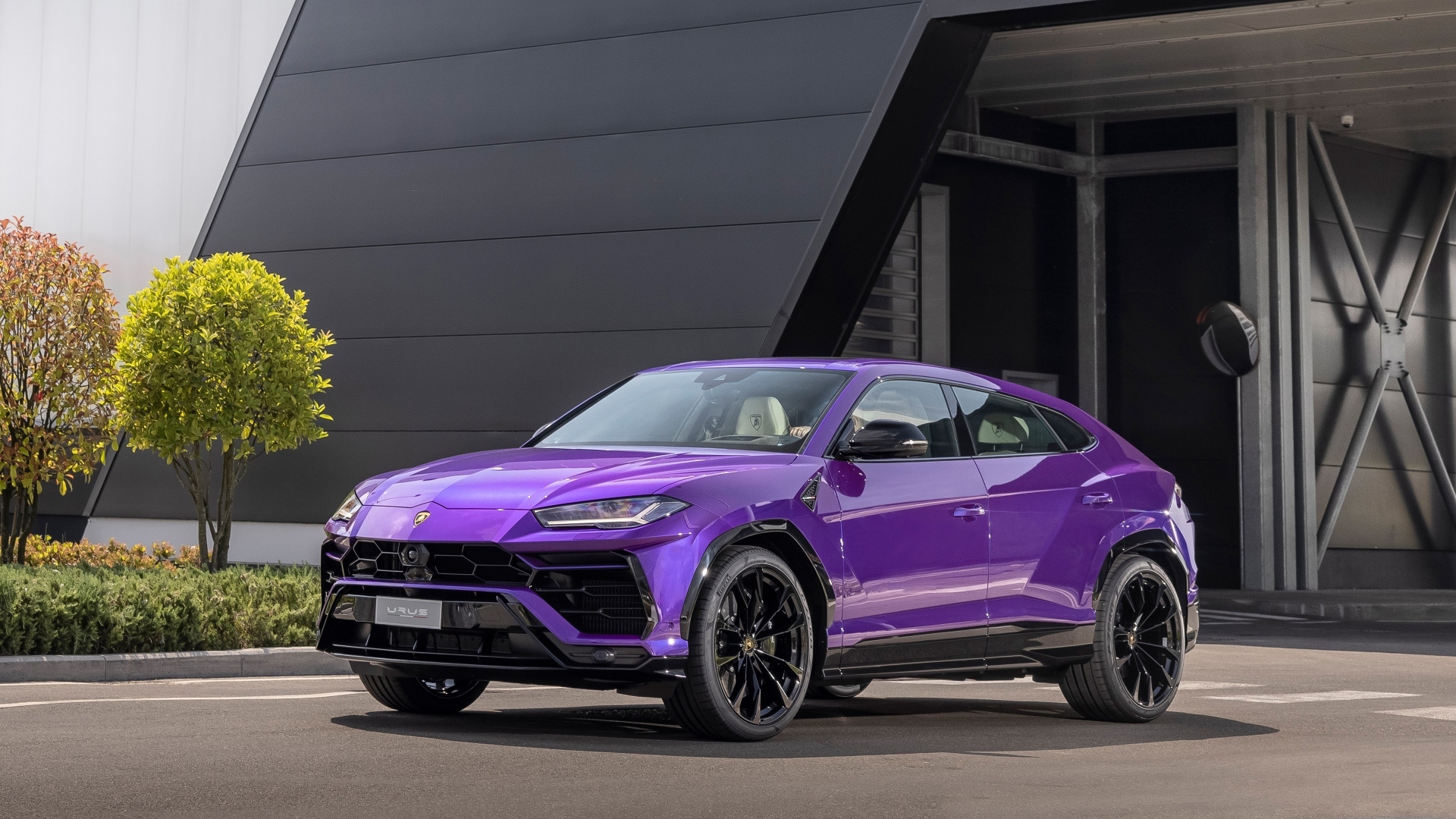 Сиреневый внедорожник Lamborghini Urus