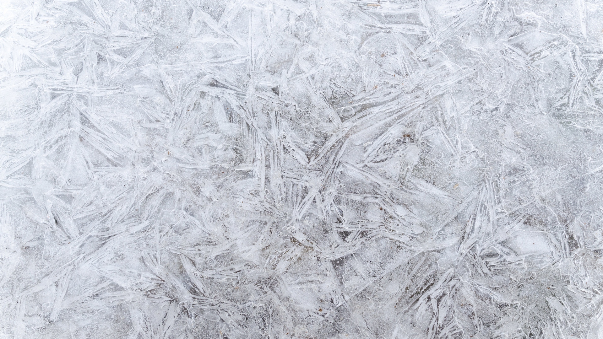 Стена покрашена белой краской для фона