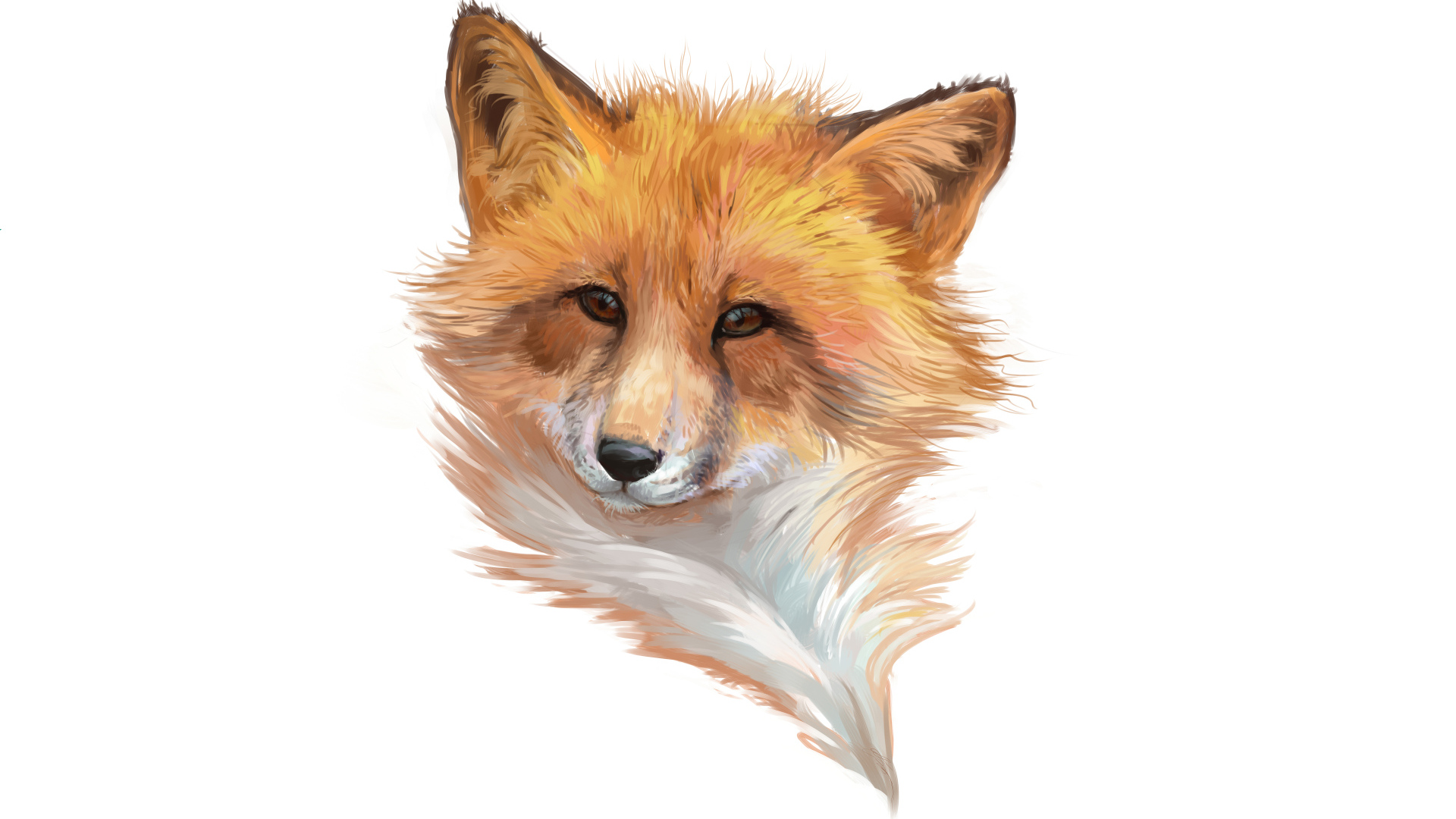 Нарисованная морда лисы на белом фоне