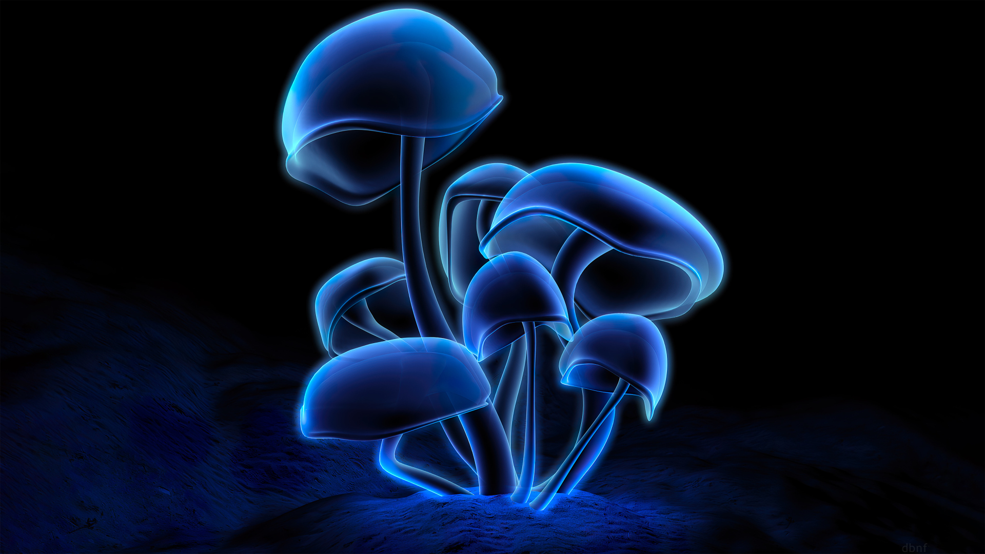 Синие светящиеся грибы на черном фоне