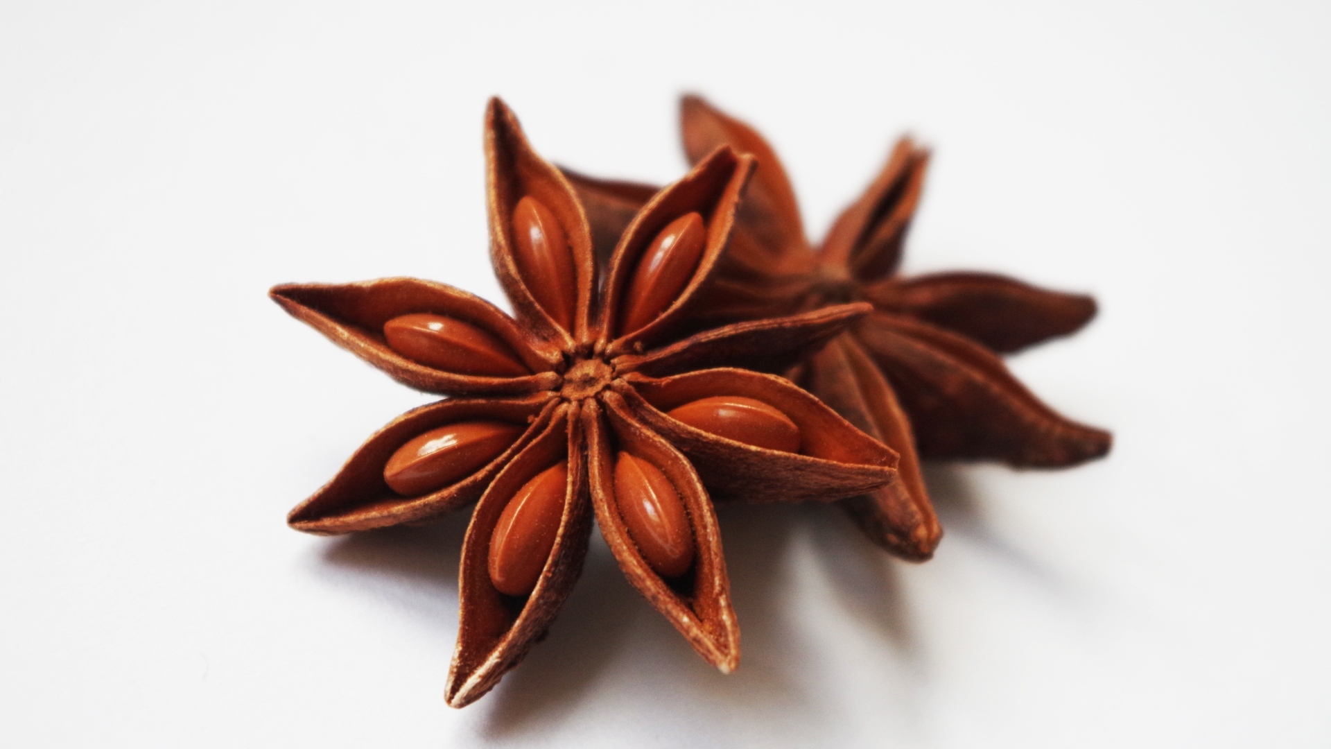 Звезды аниса на белом фоне