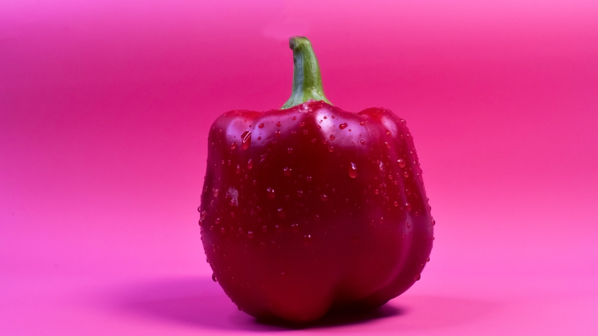 Большой красный перец на розовом фоне