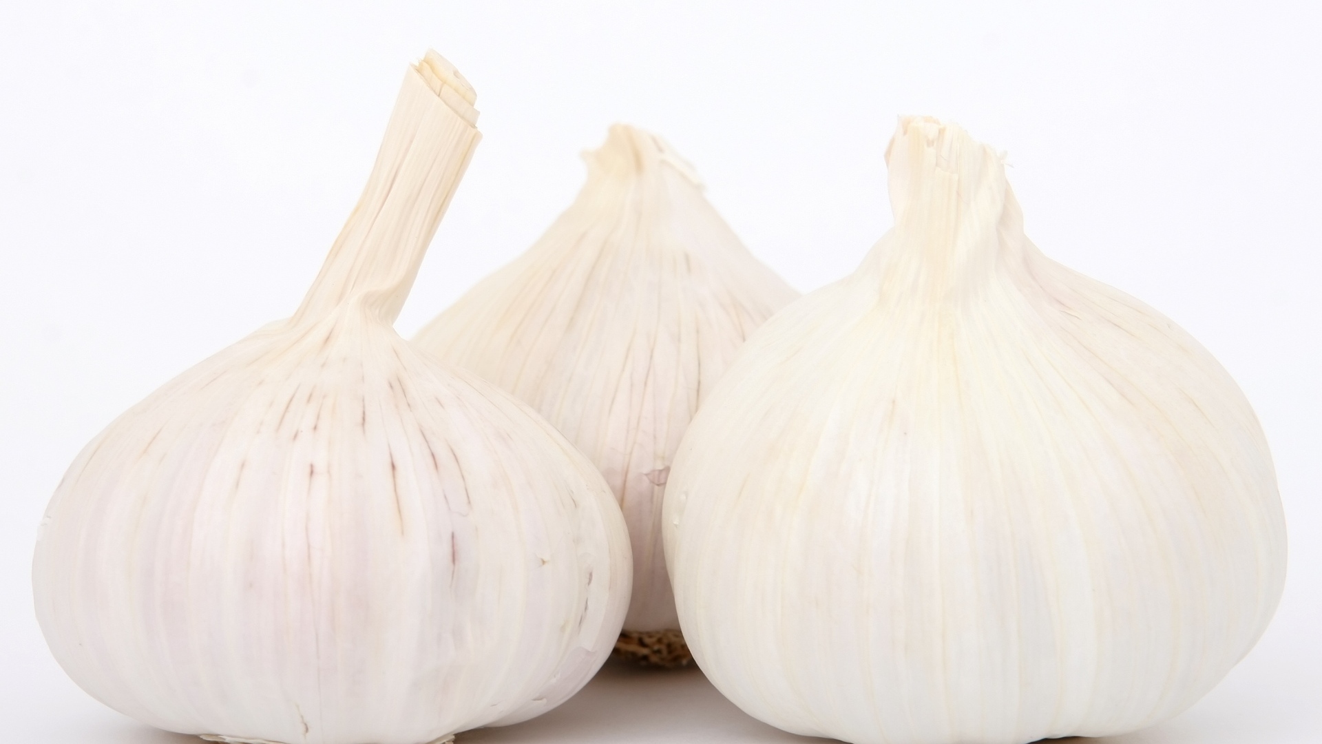 Большой ароматный чеснок на белом фоне