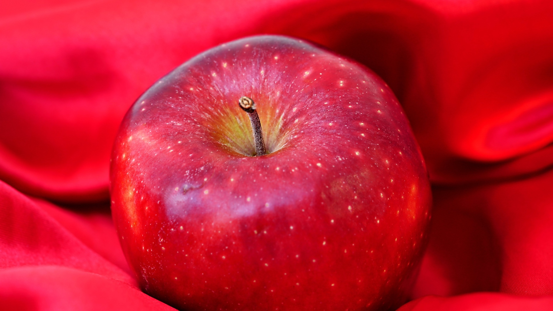 Большое красное яблоко лежит на ткани