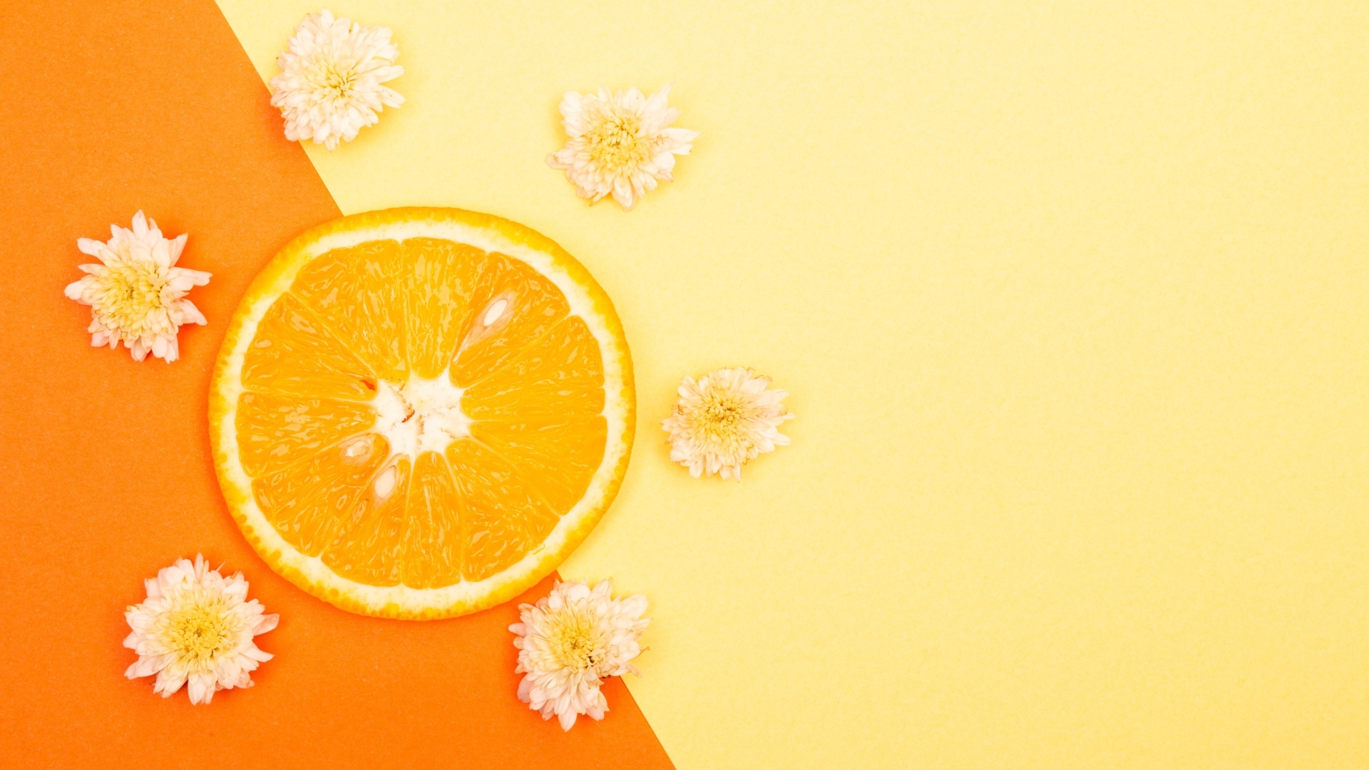 Кружок апельсина с цветами хризантемы