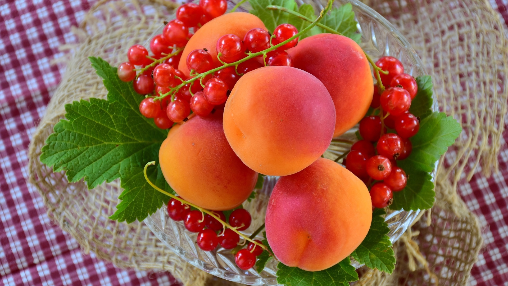 Большие сладкие абрикосы с красной смородиной
