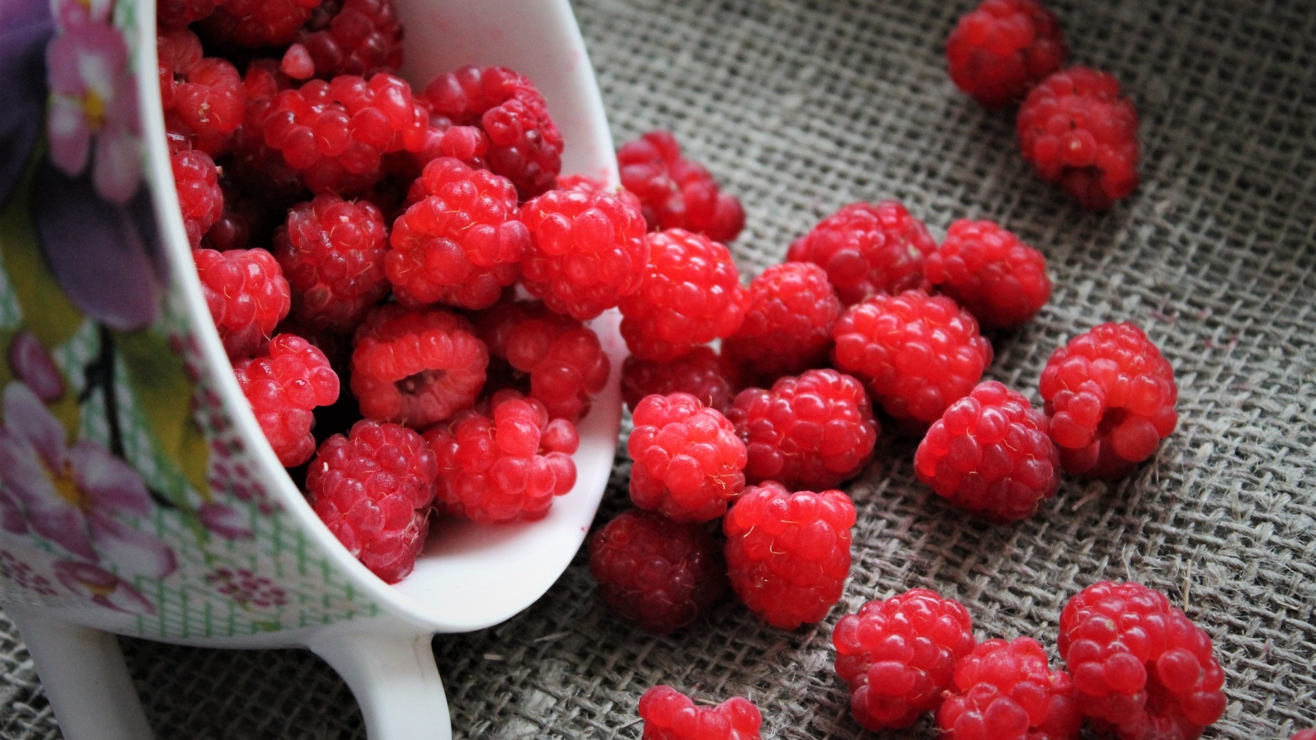 Красная спелая малина в чашке на столе