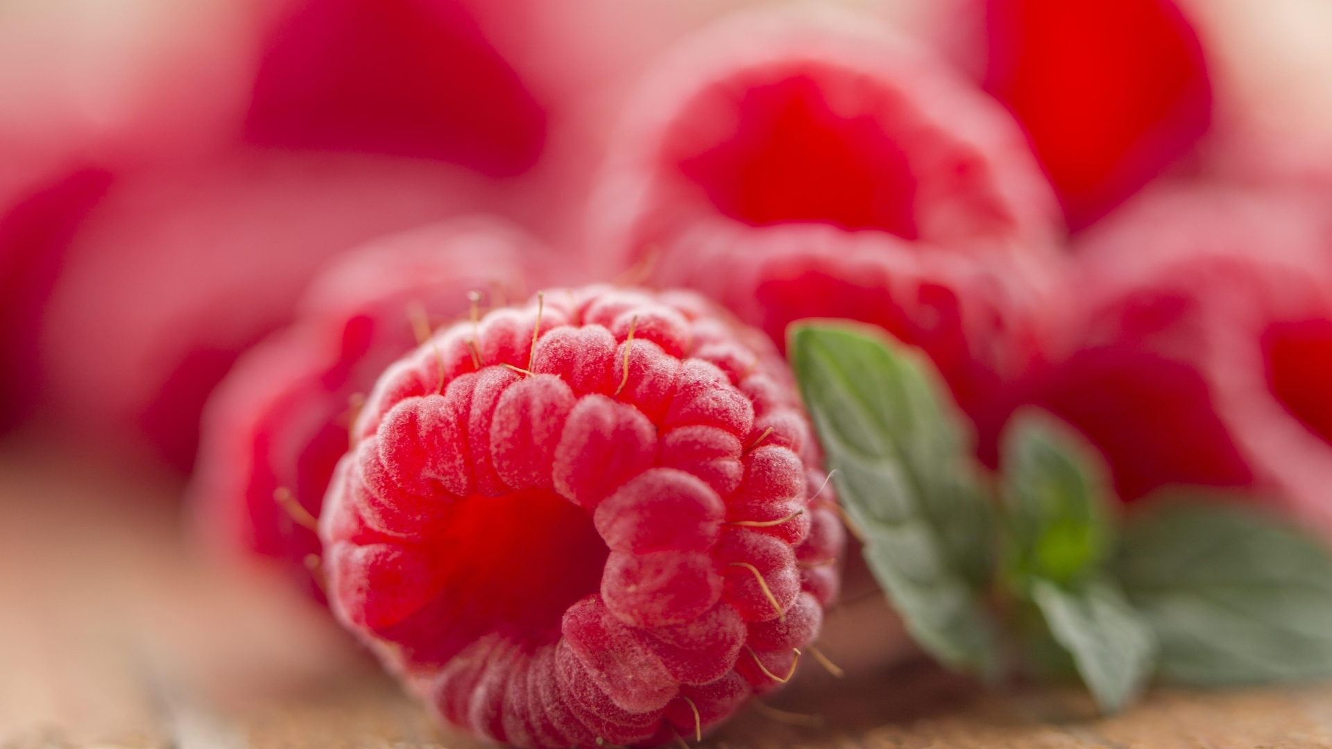 Ягода спелой красной малины крупным планом