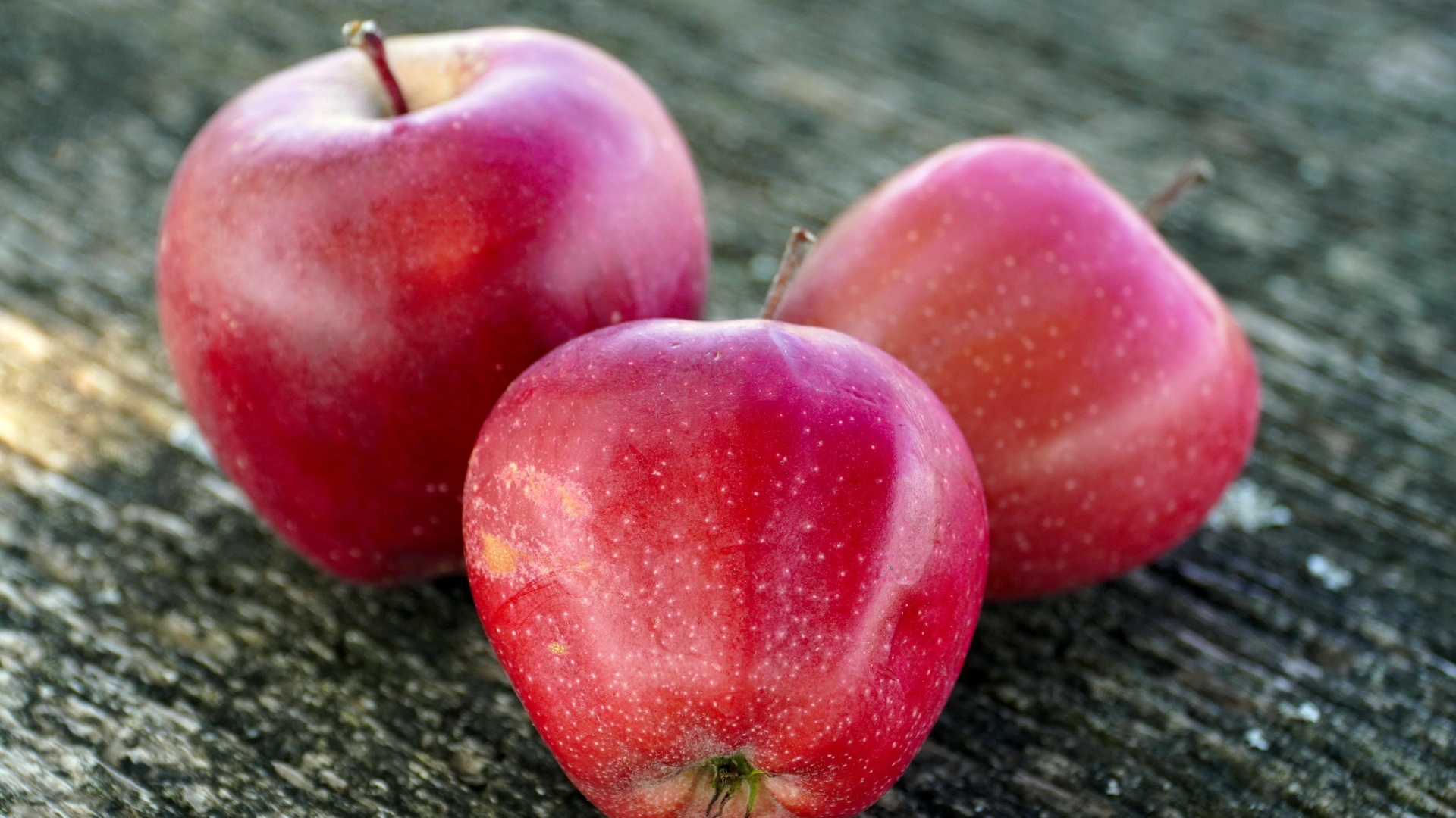 Три больших спелых красных яблока