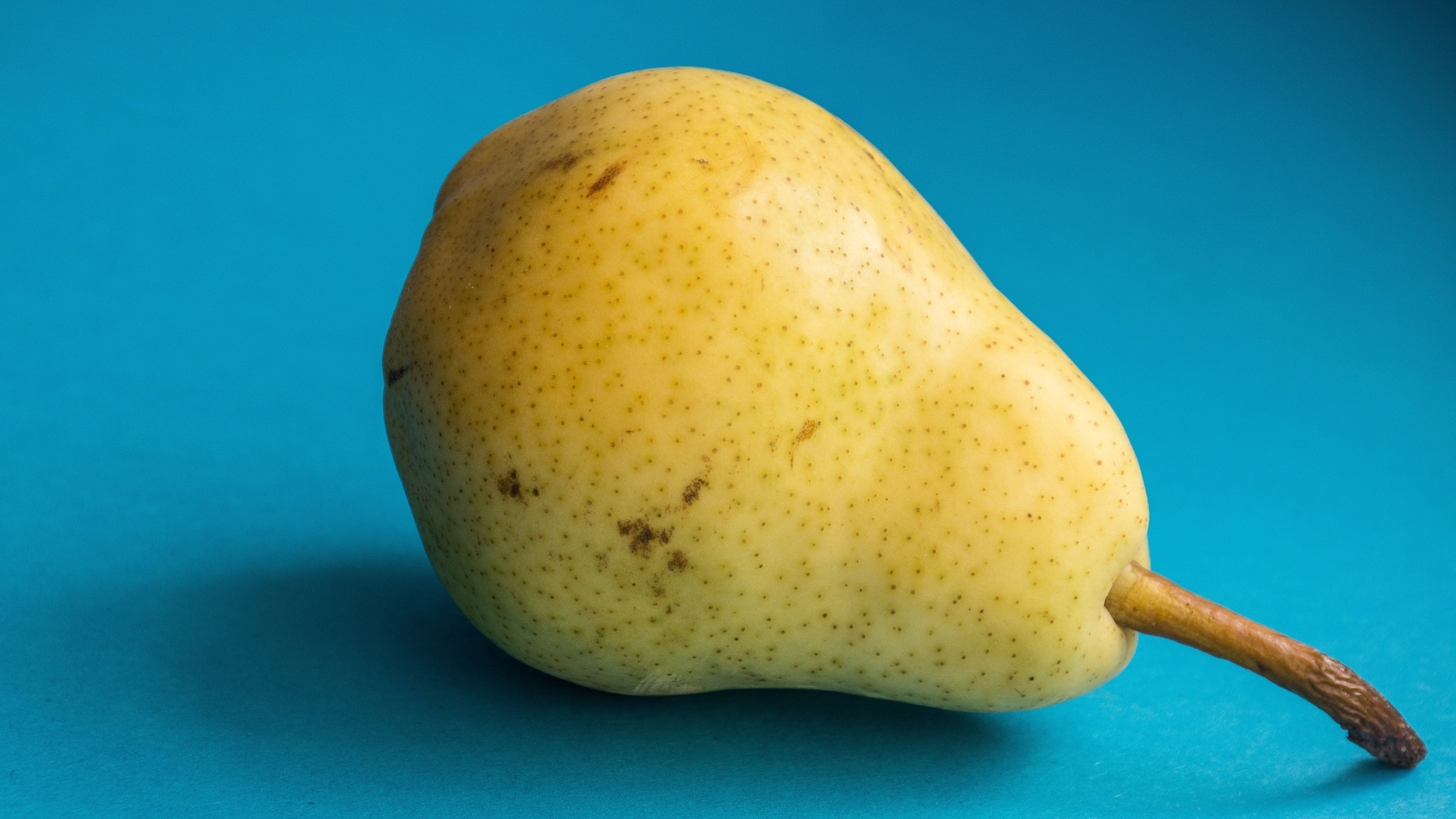 Желтая груша на голубом фоне