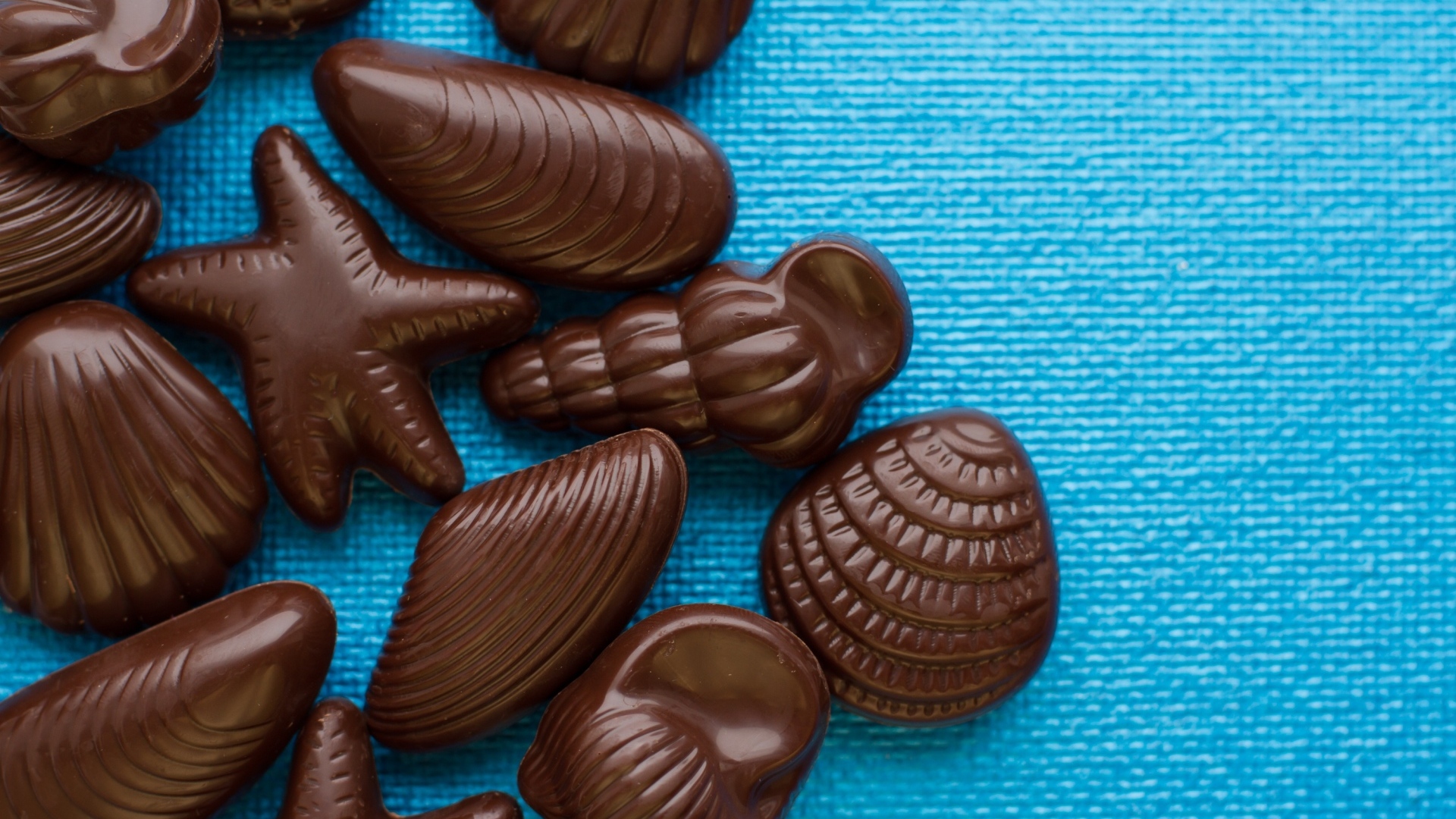 Шоколадные конфеты в форме ракушек на голубом фоне