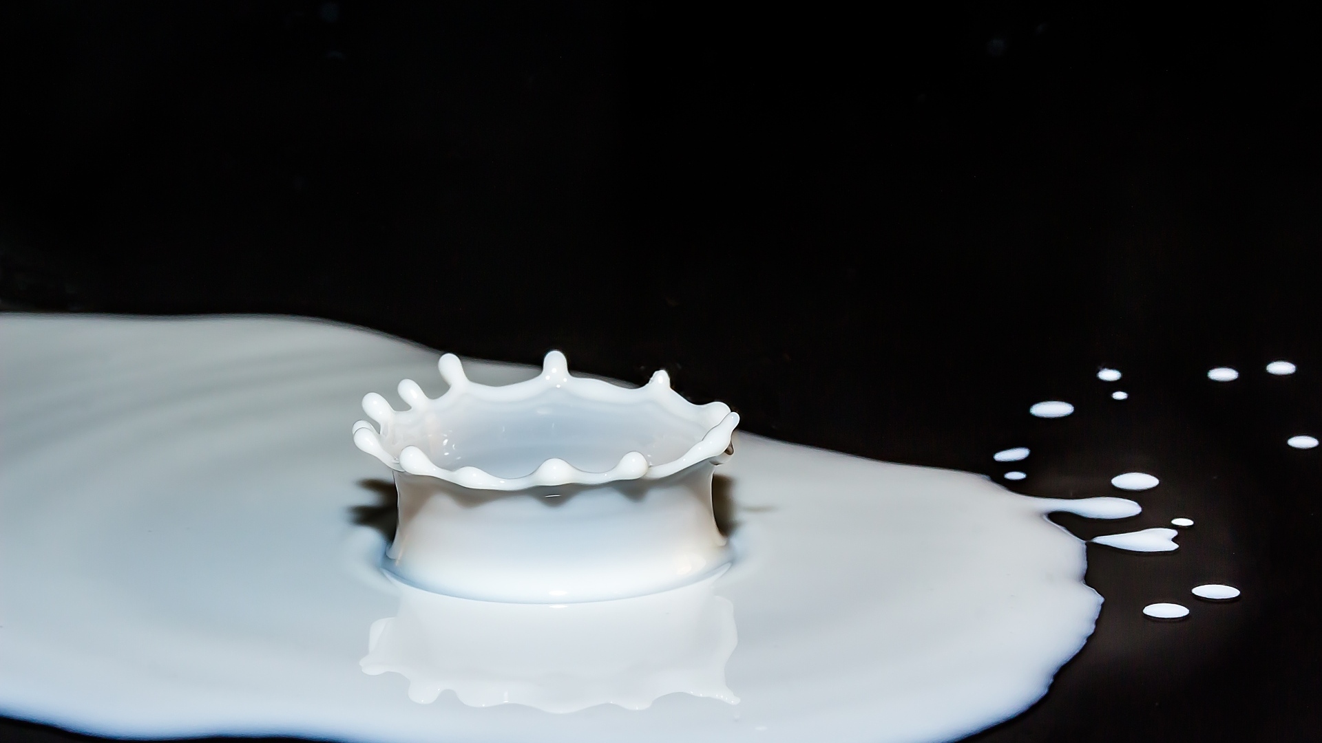 Брызги белого молока на черном фоне