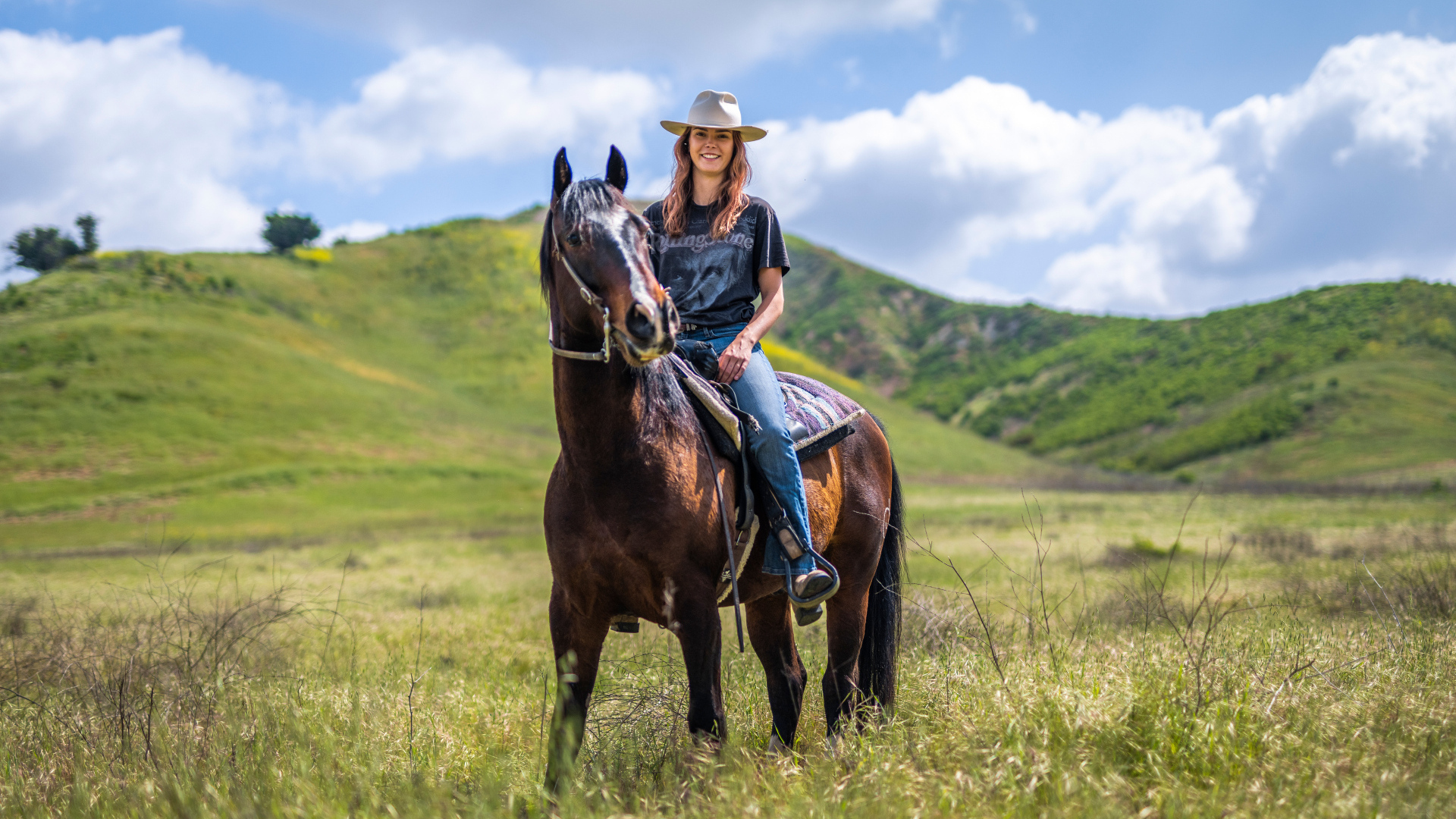 Красивая девушка сидит на большой лошади