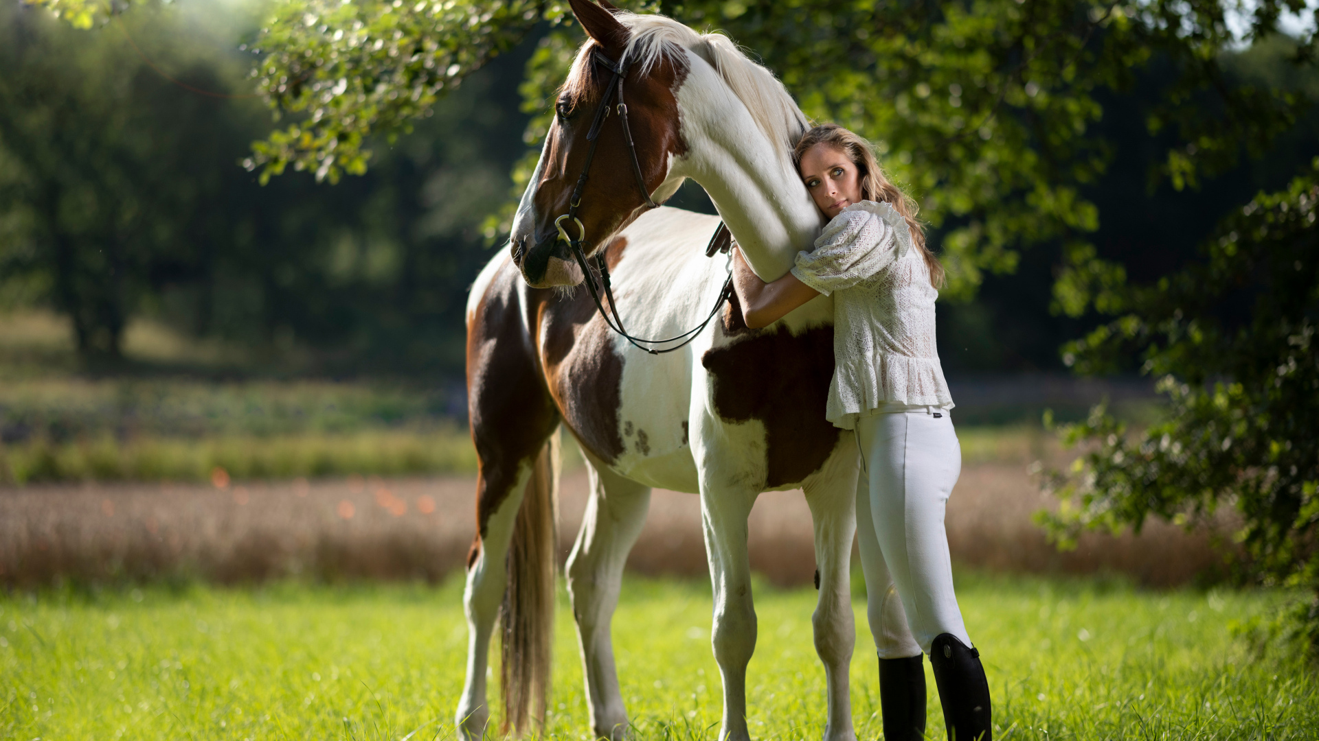 Молодая девушка обнимает большого коня