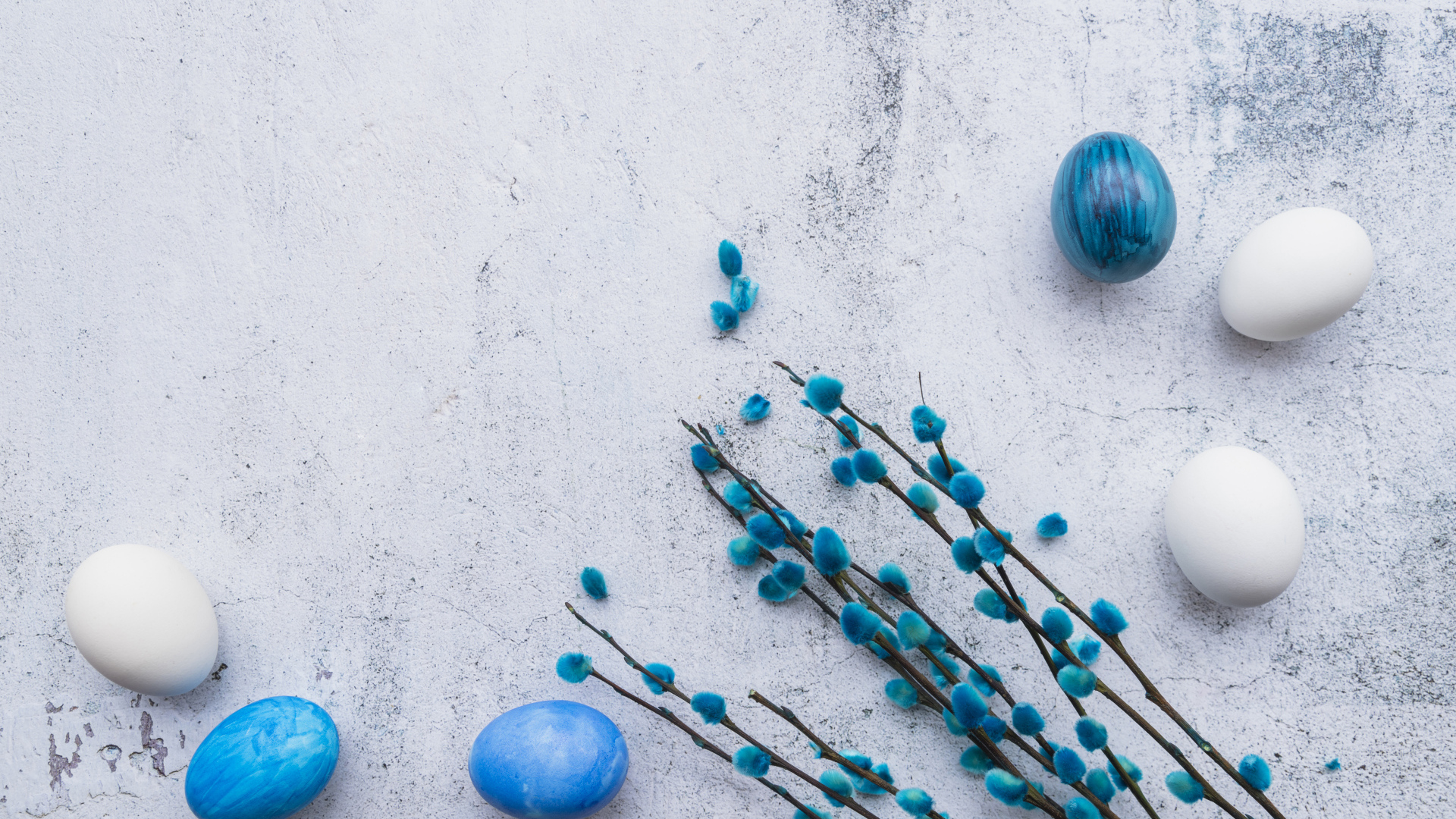 Ветка вербы с голубыми и белыми яйцами на сером фоне на праздник Пасха