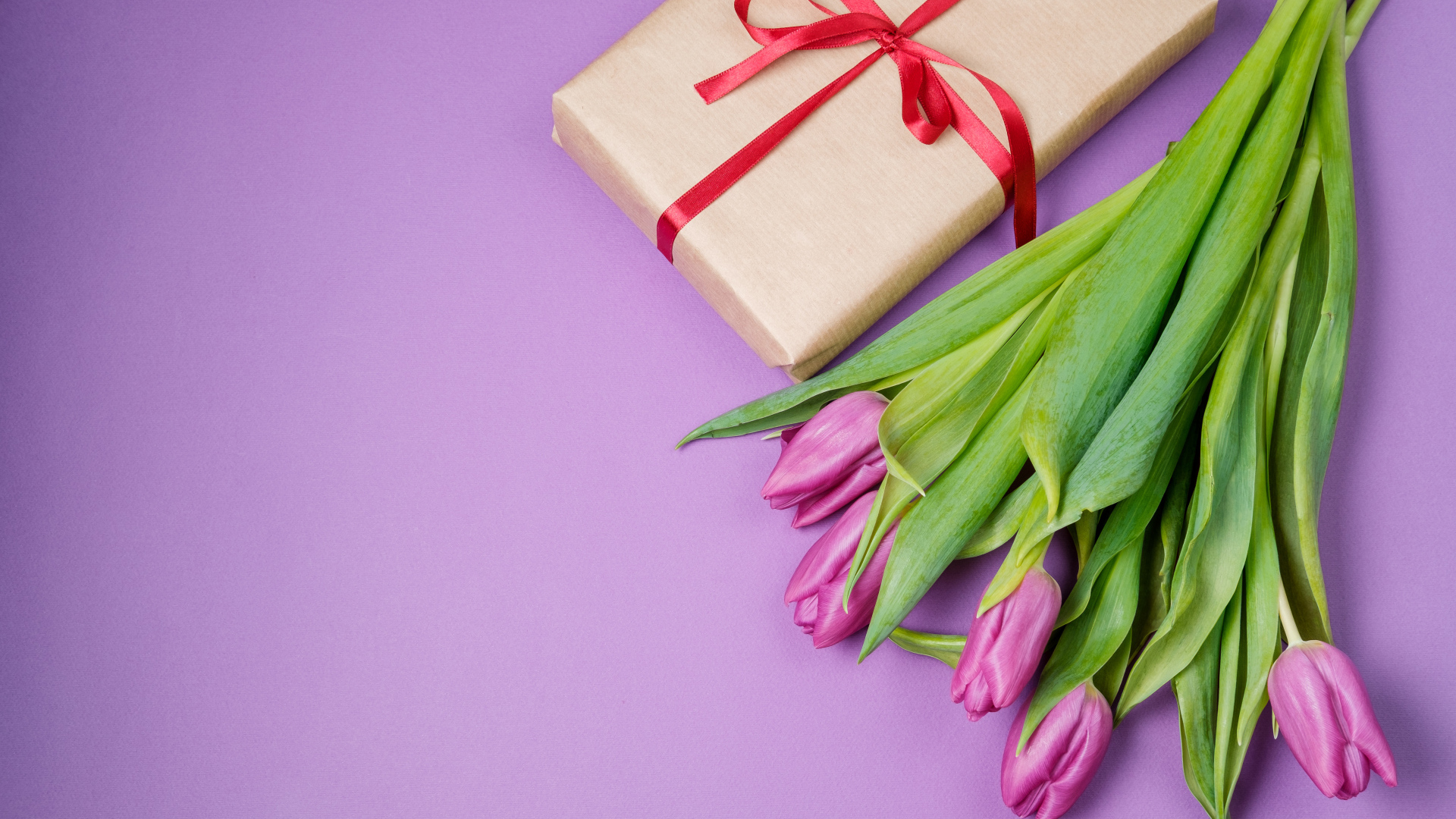 Подарок и букет красивых тюльпанов на сиреневом фоне
