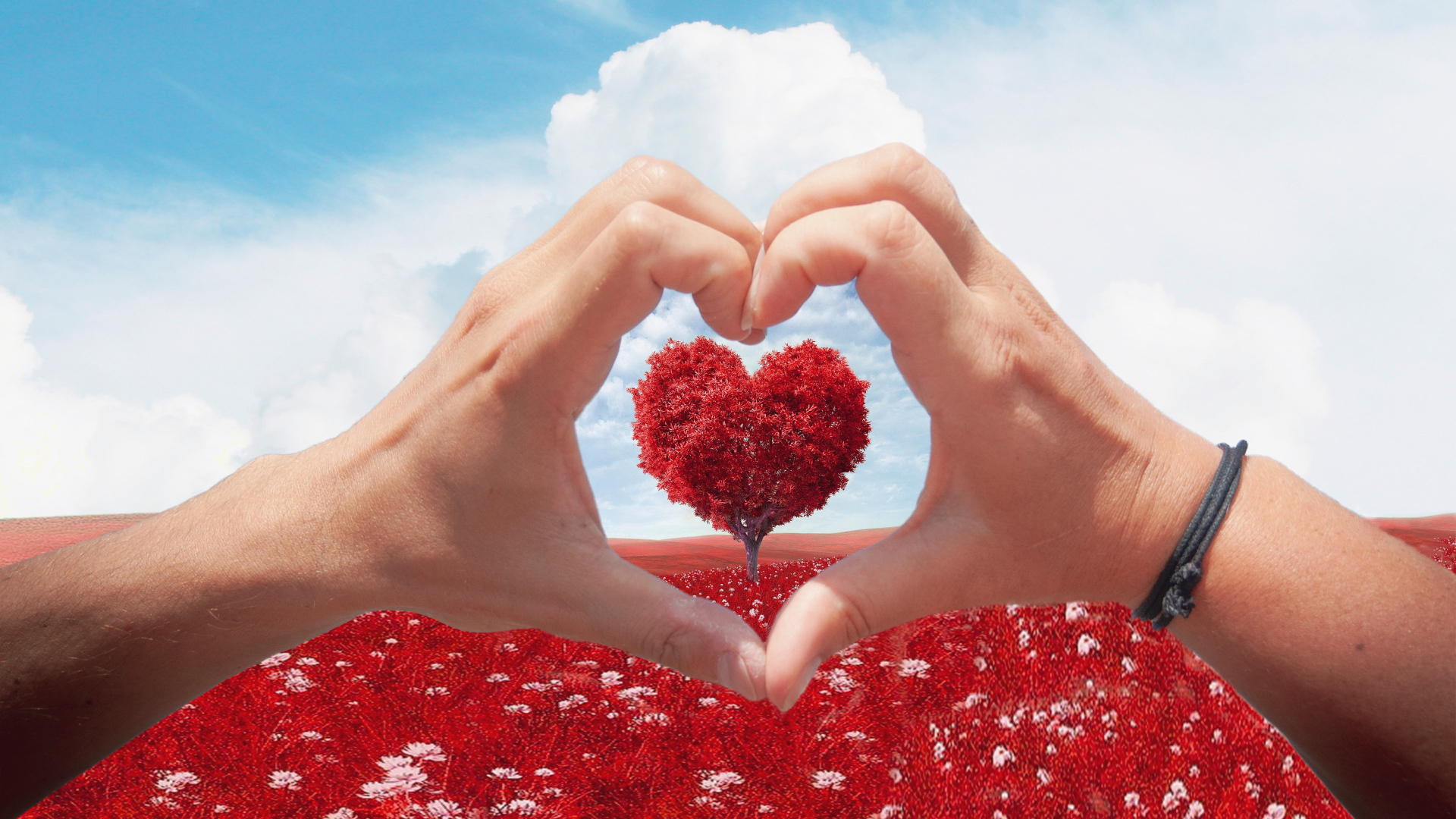 Две руки создают сердце на фоне дерева