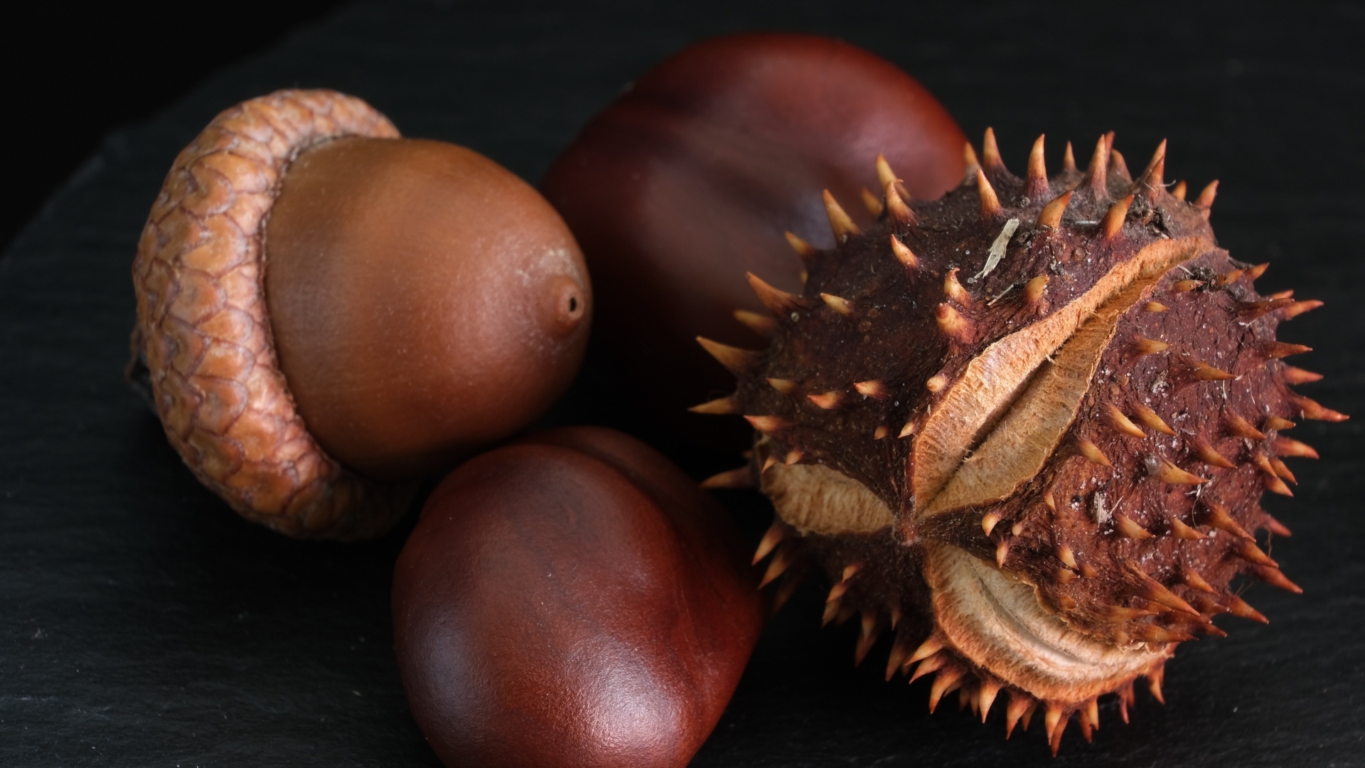 Сухие каштаны и желуди на черном фоне