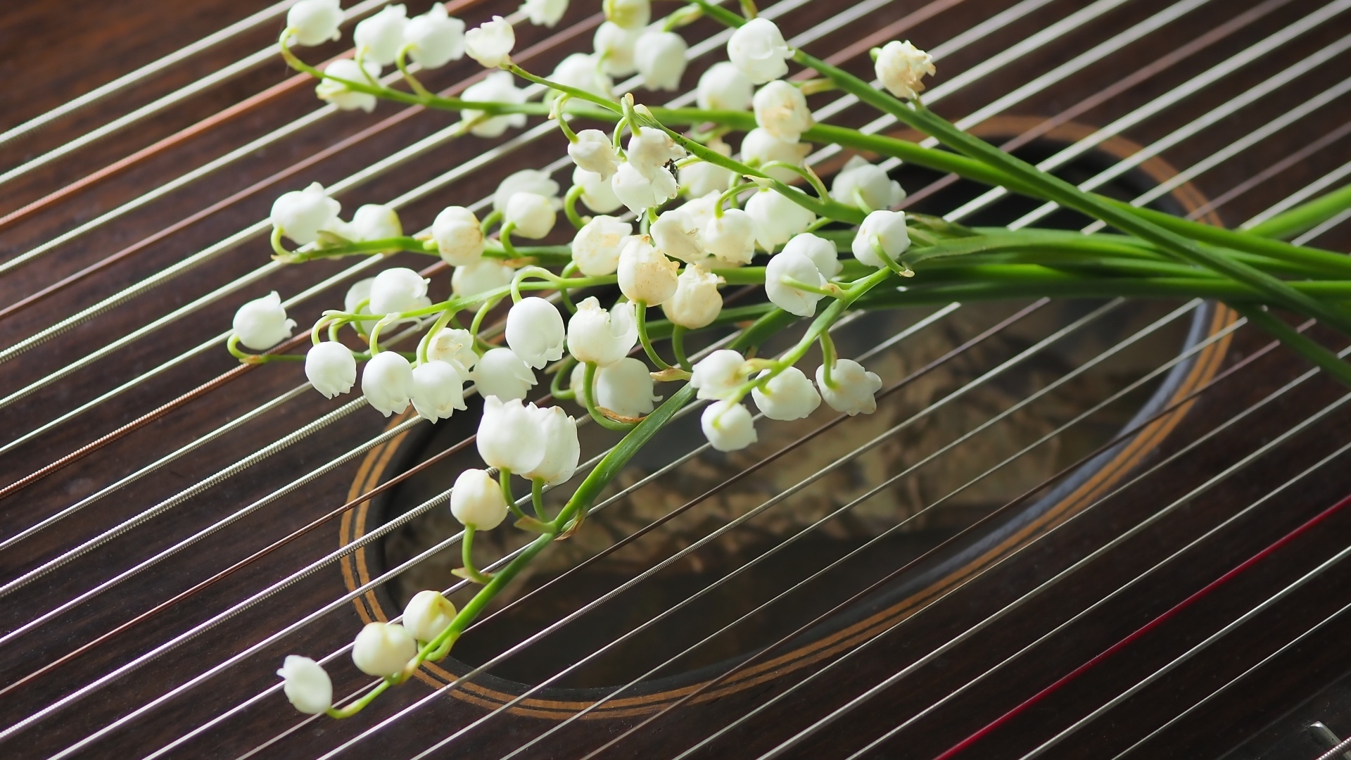 Букет белых ландышей лежит на струнах