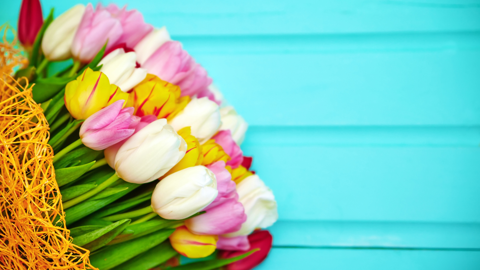 Красивый букет разноцветных тюльпанов на голубом фоне