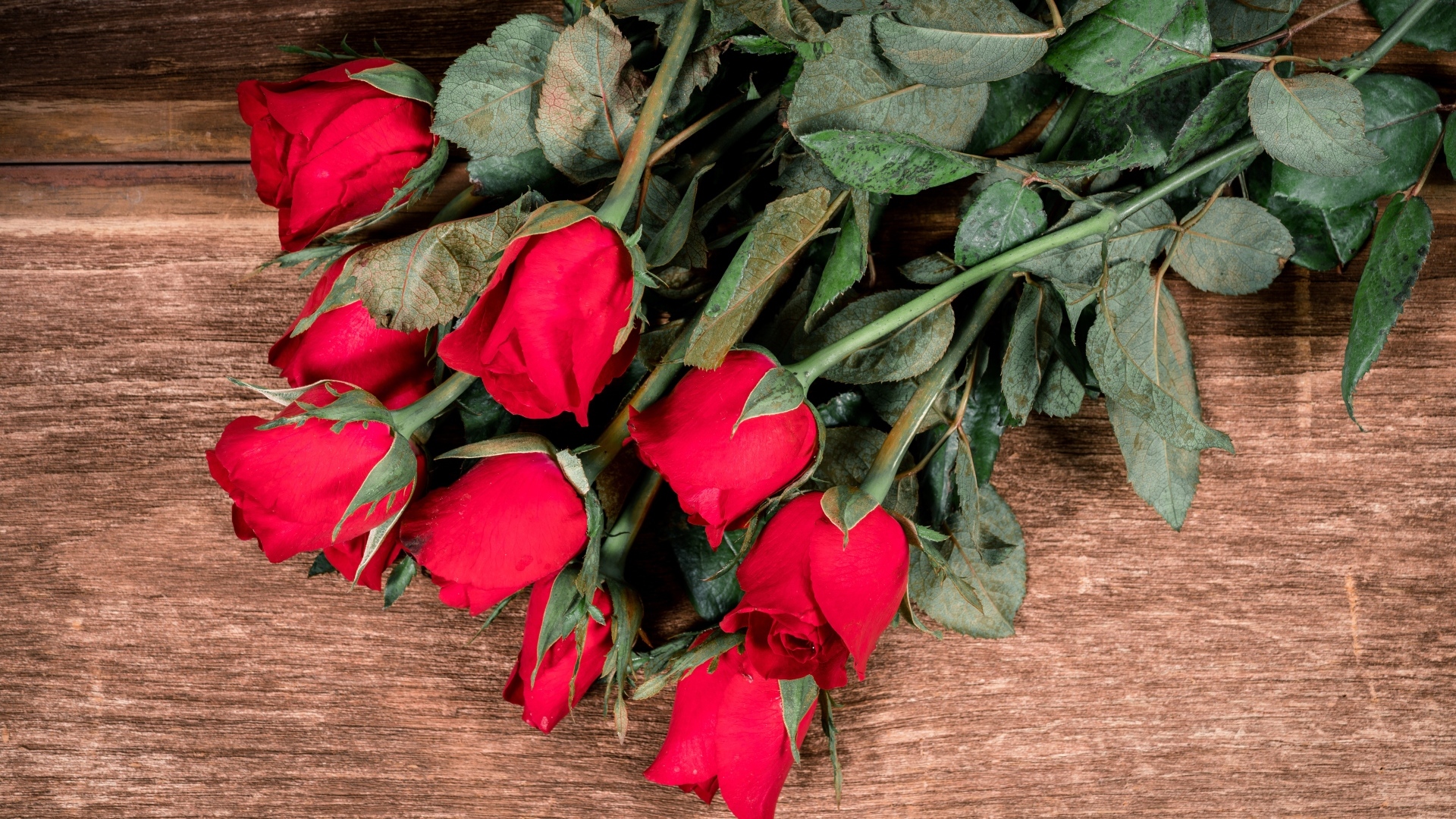 Букет красных английских роз на деревянном столе