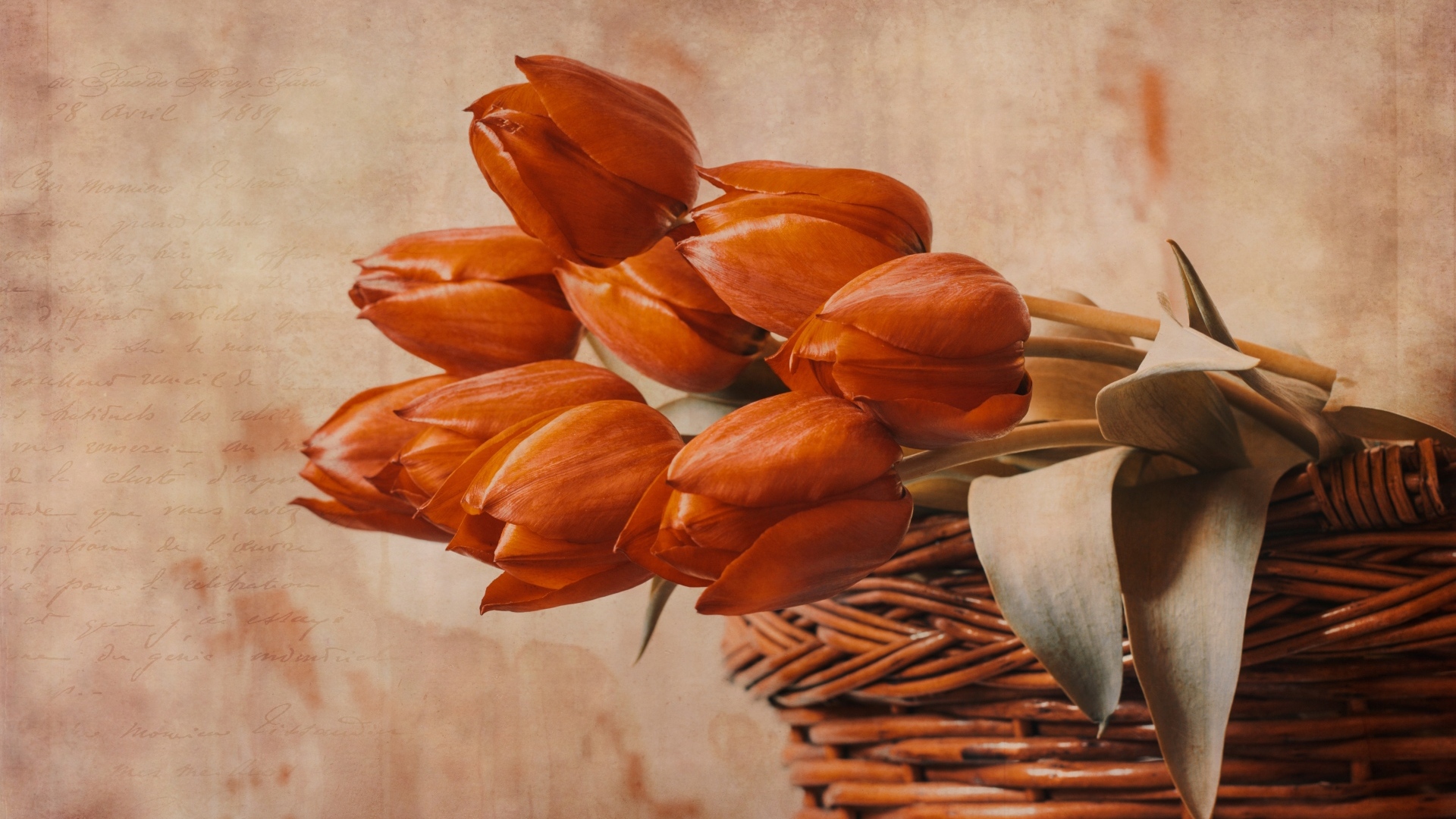 Букет красных тюльпанов в корзине на столе