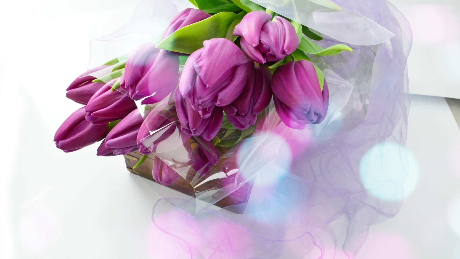 Букет тюльпанов с подарком на белом фоне