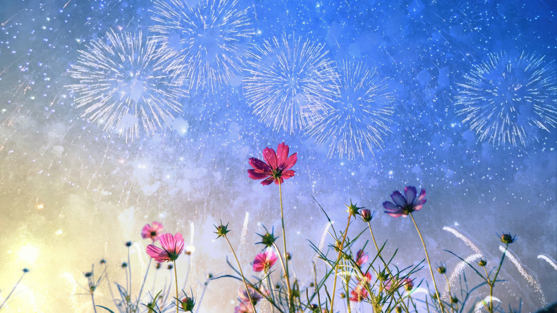 Салют в небе над цветами космеи