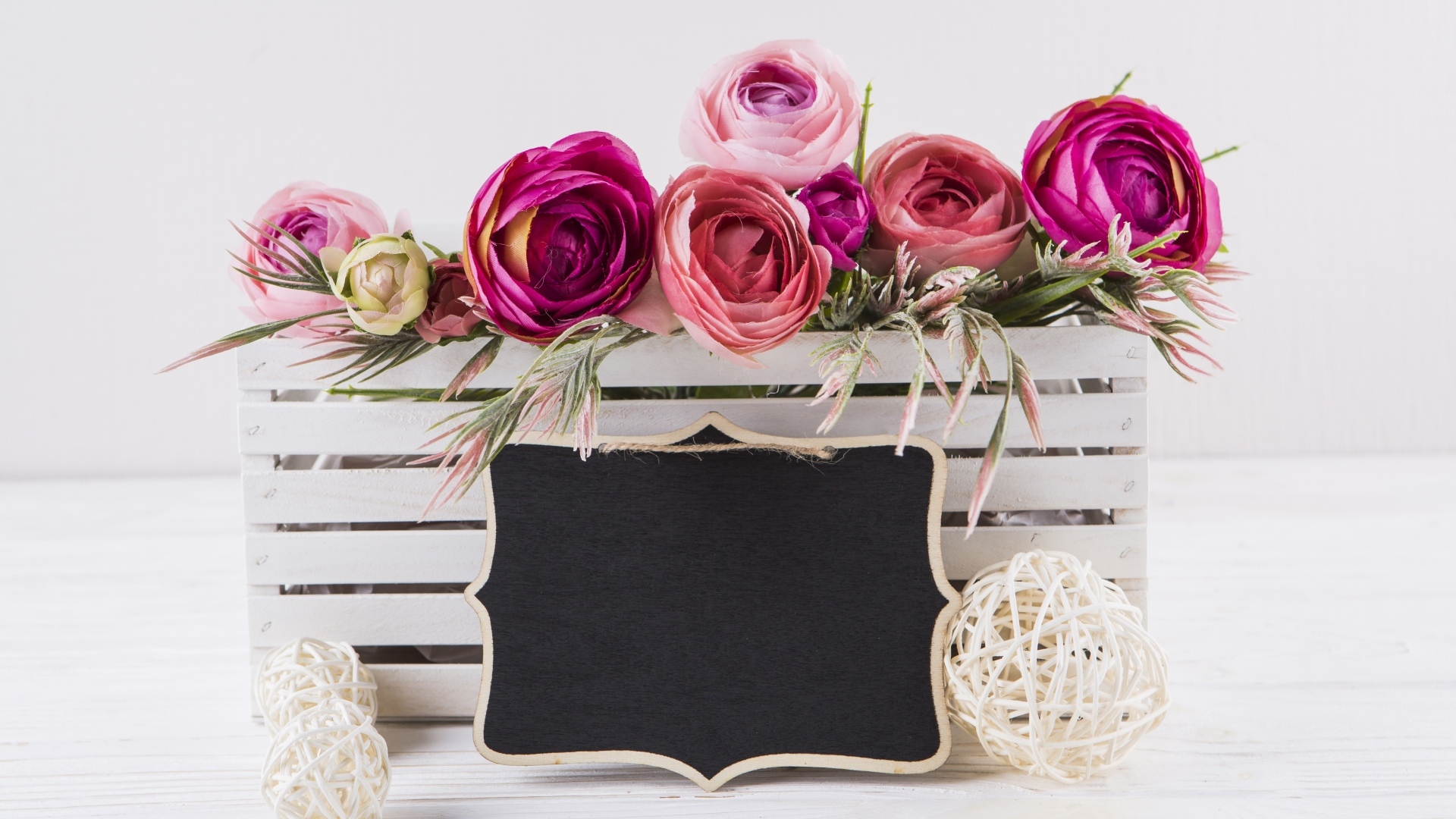 Розовые цветы лютика в белом ящике с рамкой