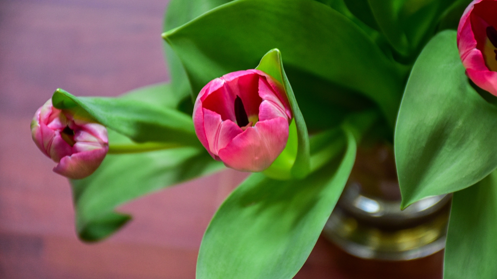 Розовые тюльпаны с зелеными листьями в вазе на столе