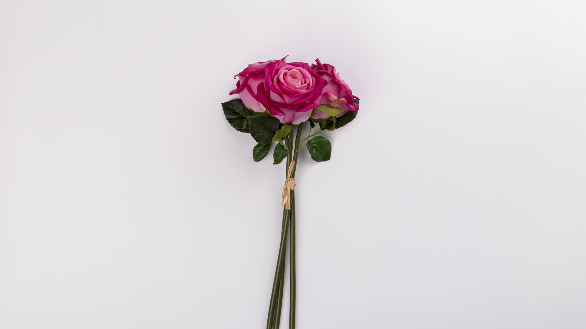 Три розы на сером фоне