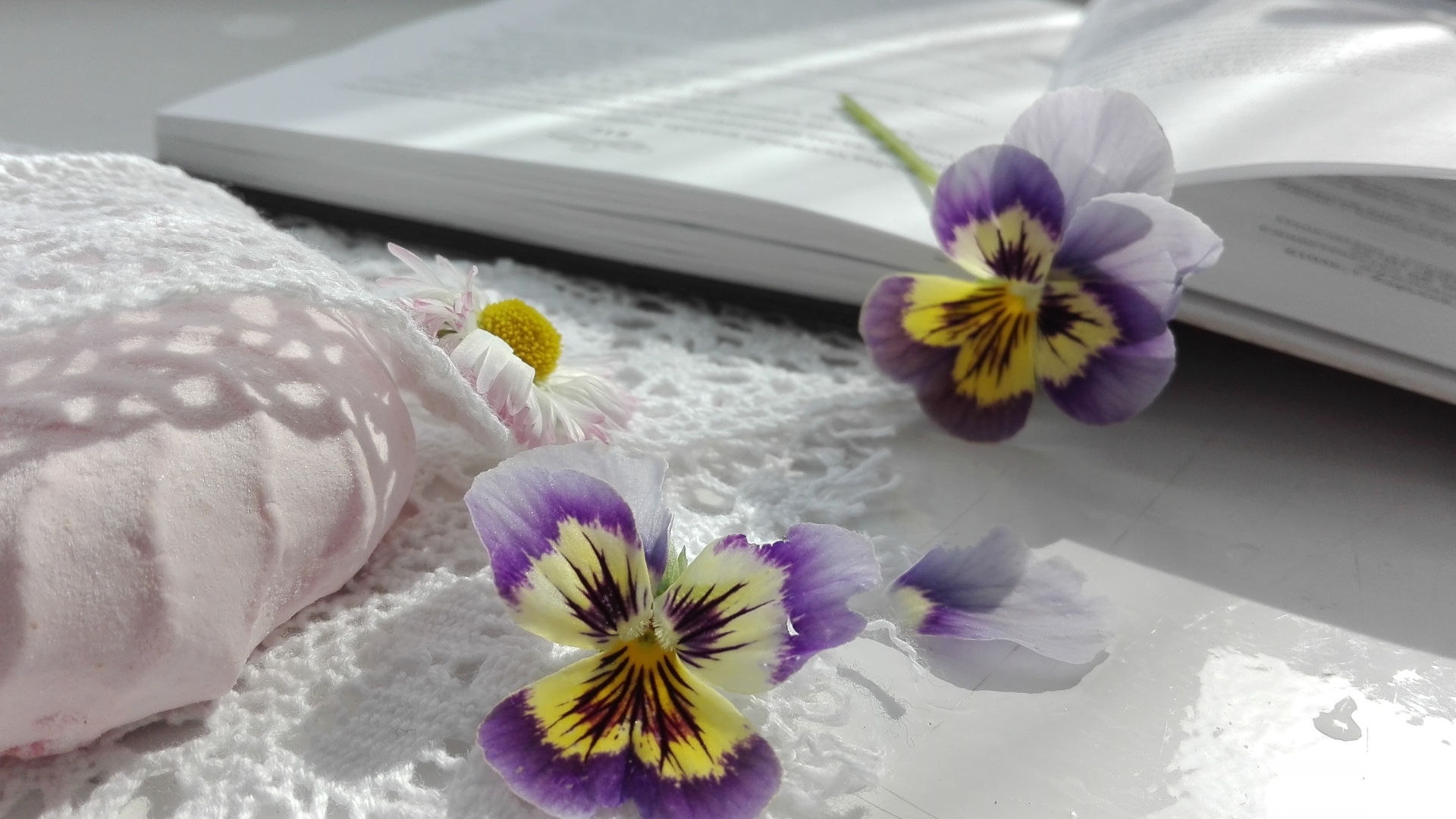 Два цветка анютины глазки с книгой и зефиром