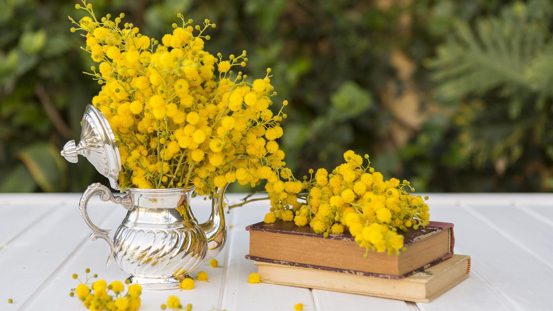 Желтые цветы мимозы на столе с книгами