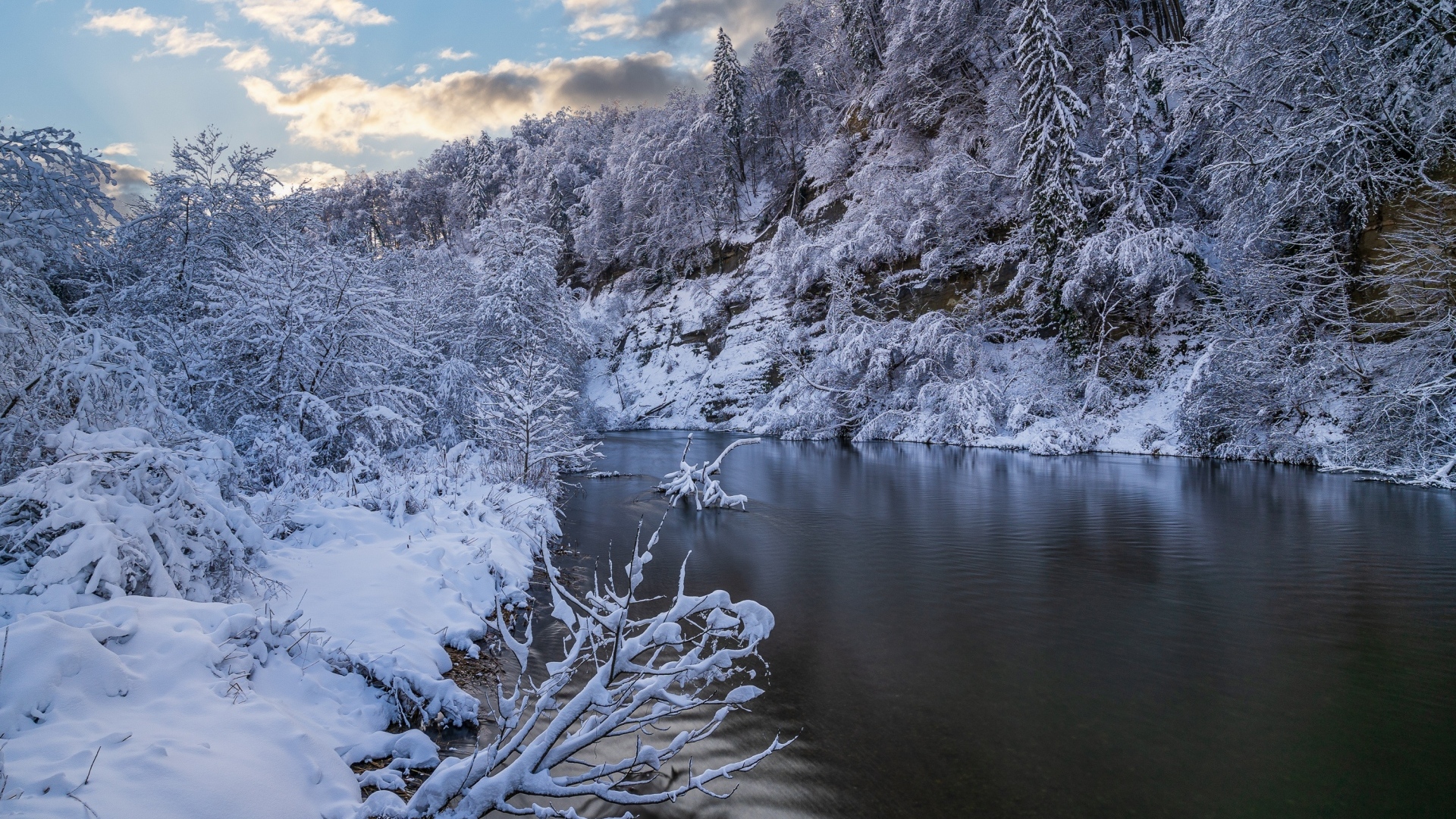 Покрытый снегом лес у холодной зимней реки