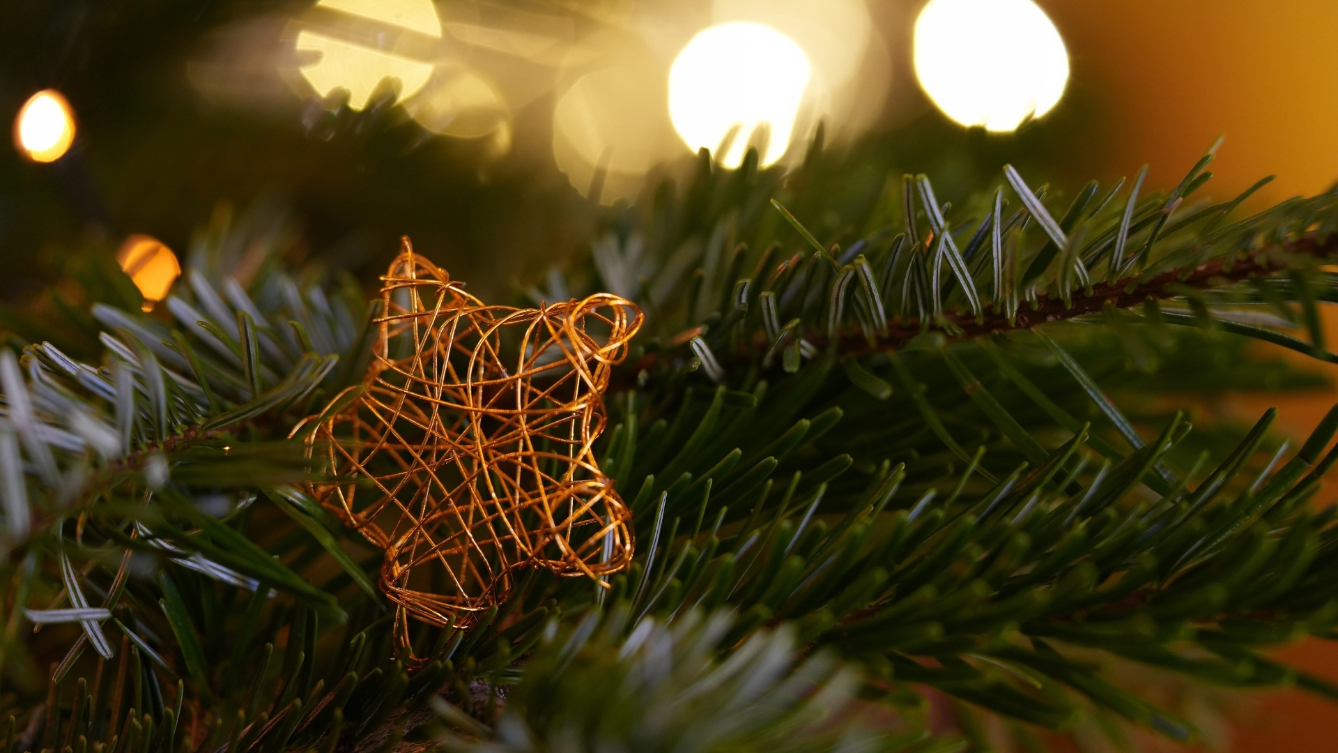 Звезда лежит на зеленой еловой ветке