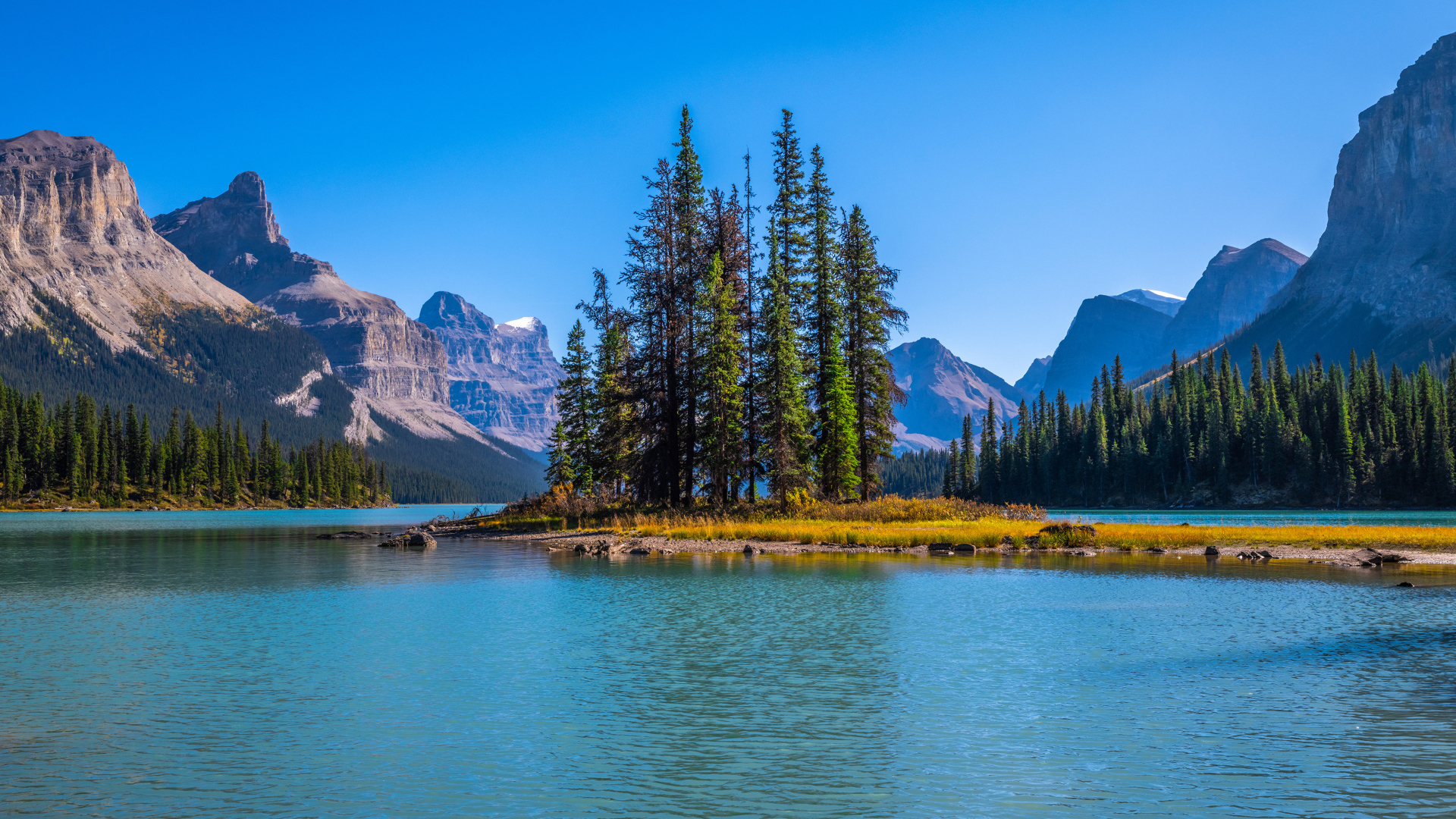 Остров с высокими елями посреди горного озера