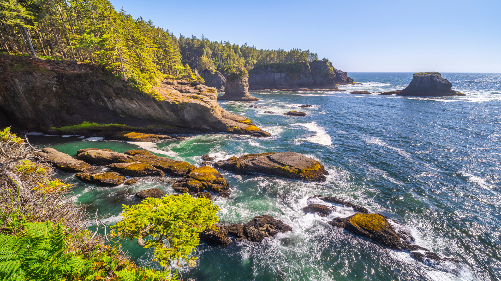 Много камней в воде у утеса